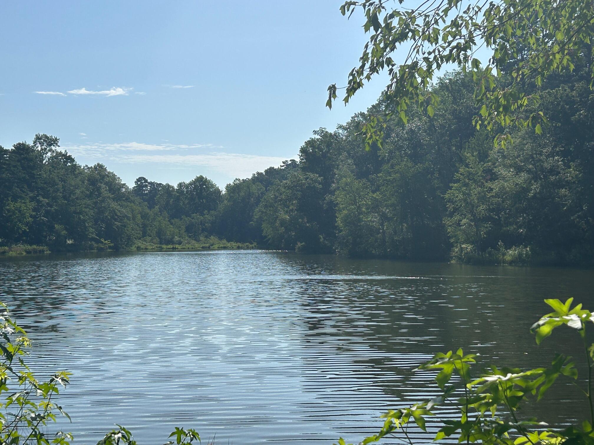 265 Hodges Bay Drive