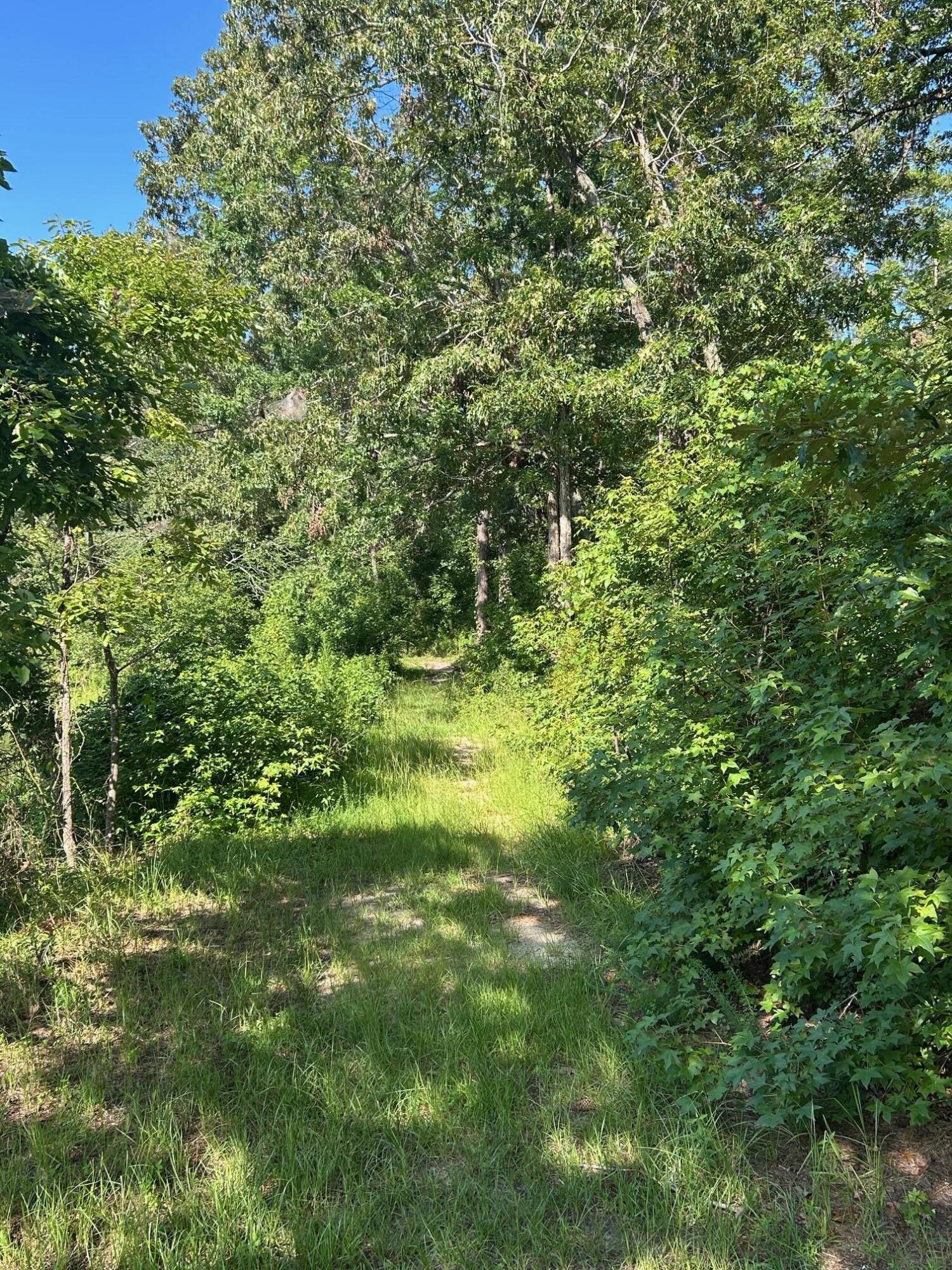 279 Hodges Bay Drive