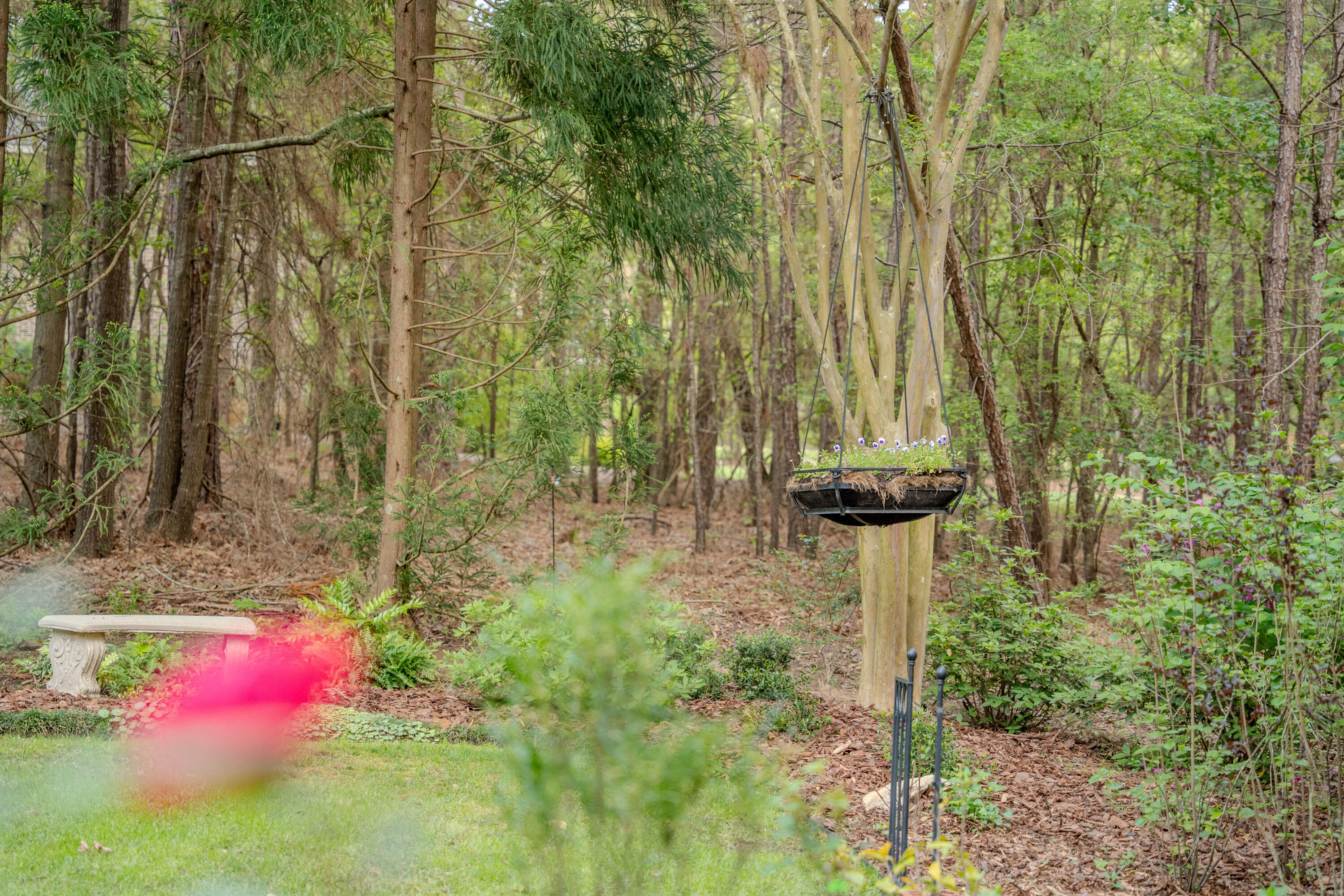 213 Birch Tree Circle