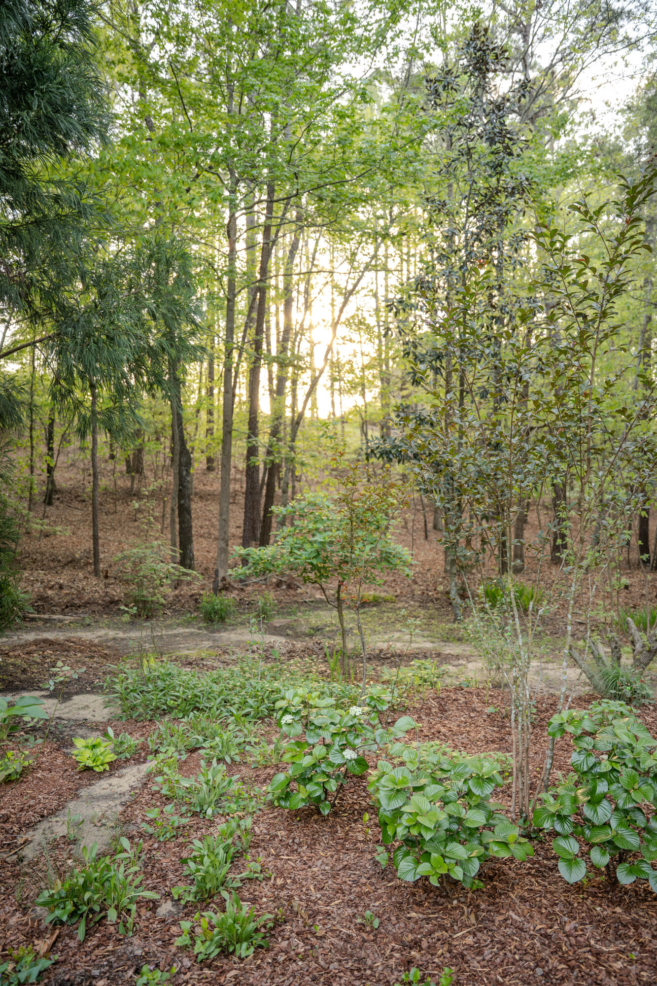 213 Birch Tree Circle