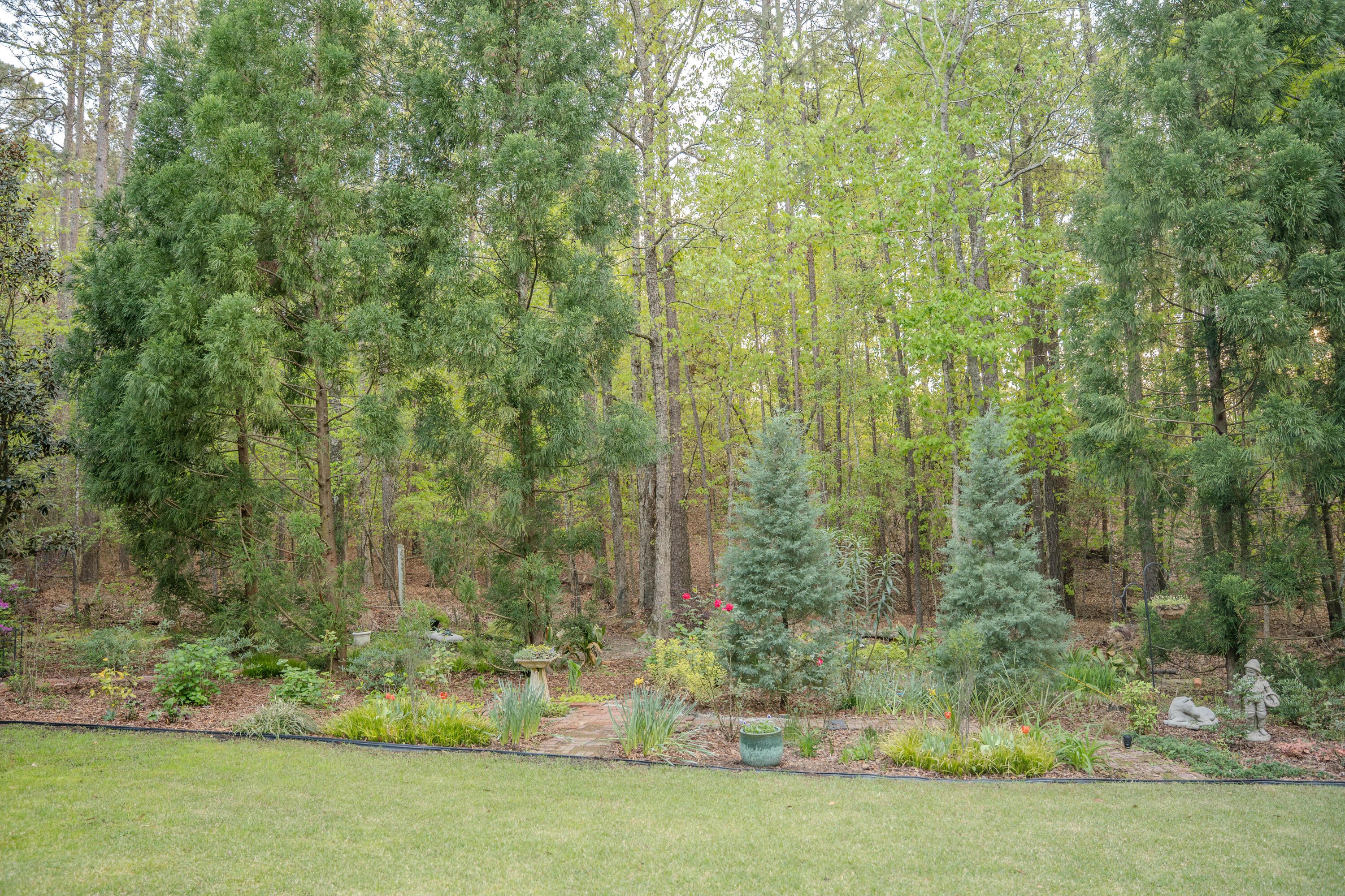 213 Birch Tree Circle