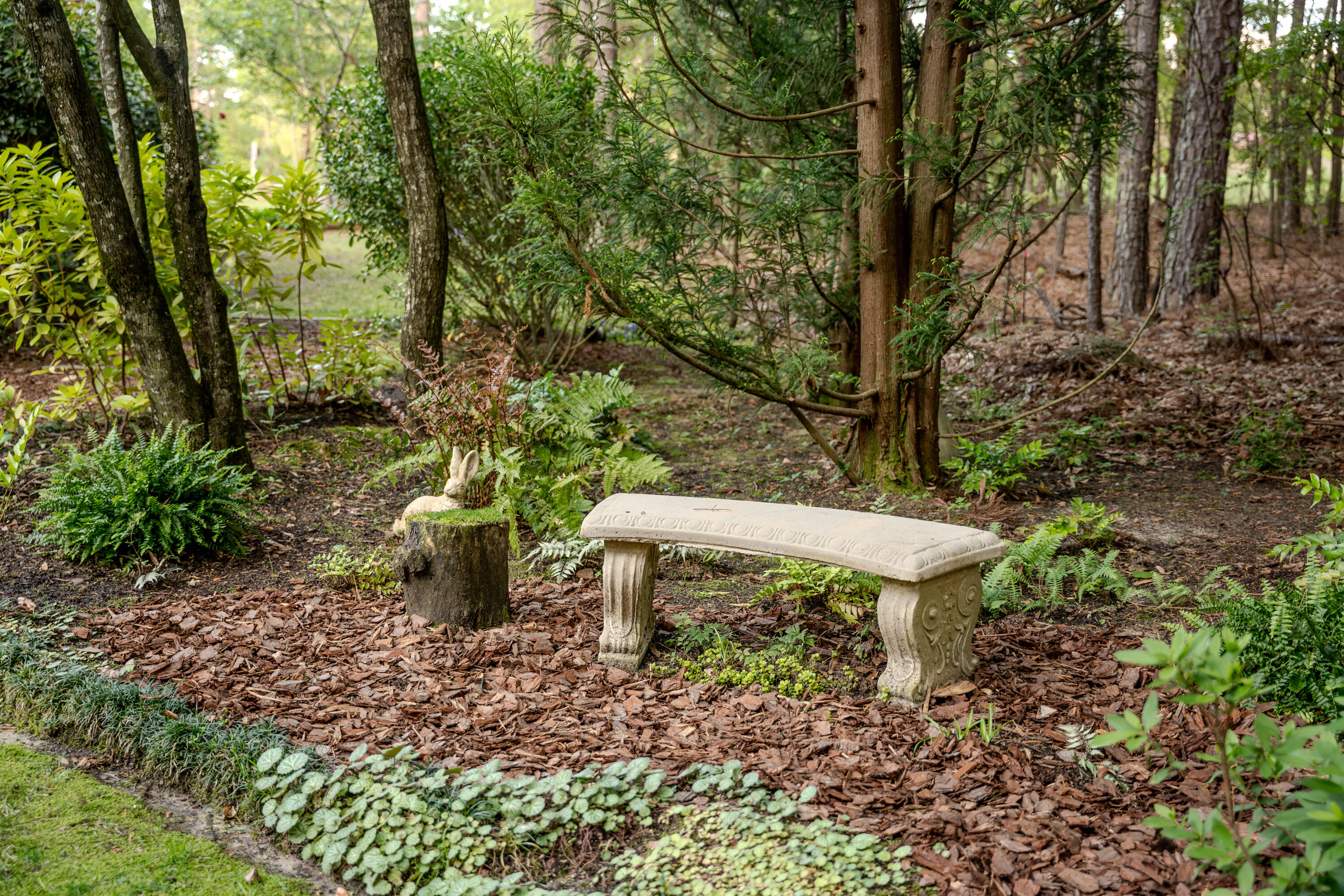 213 Birch Tree Circle