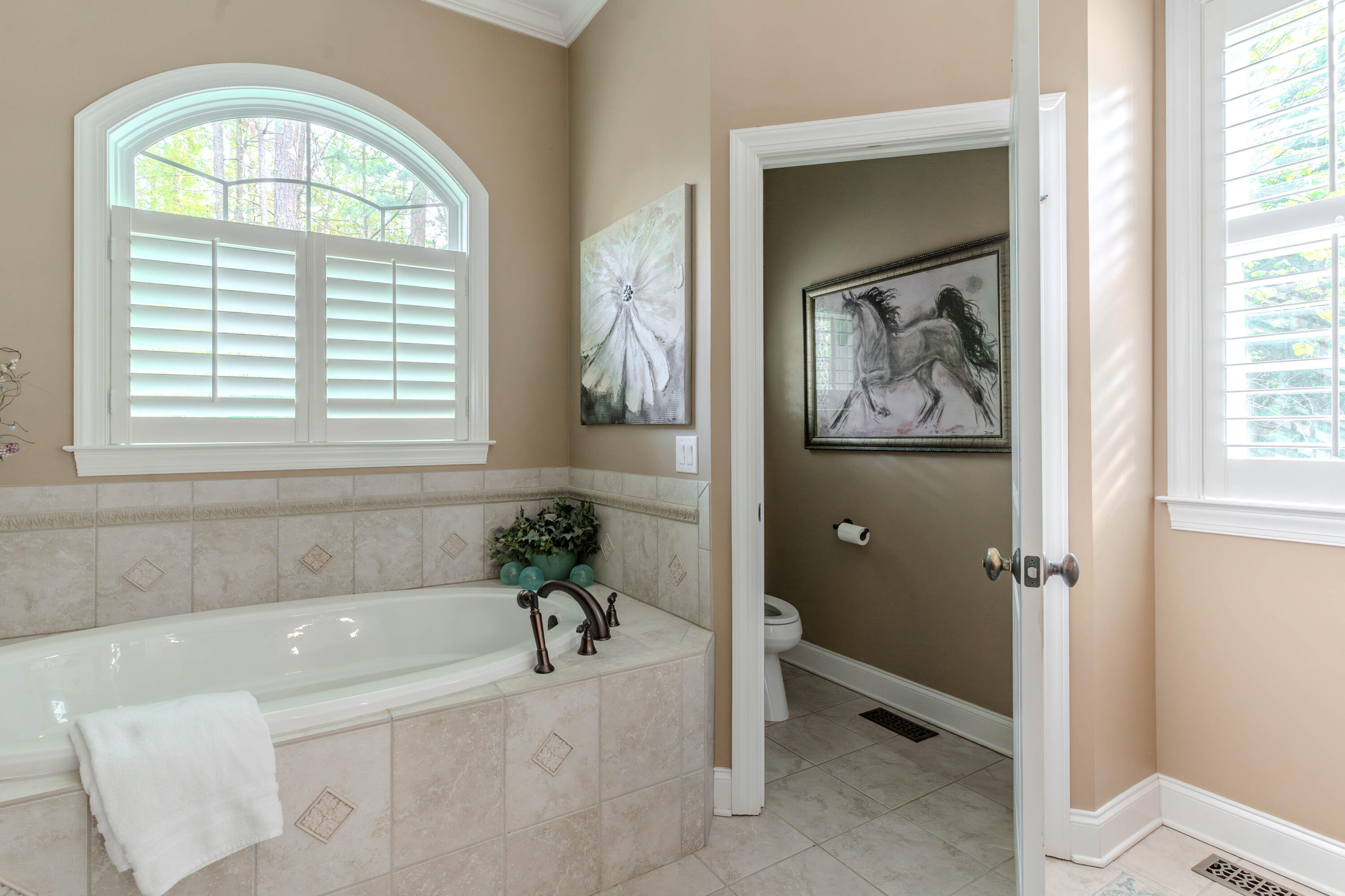 213 Birch Tree Circle