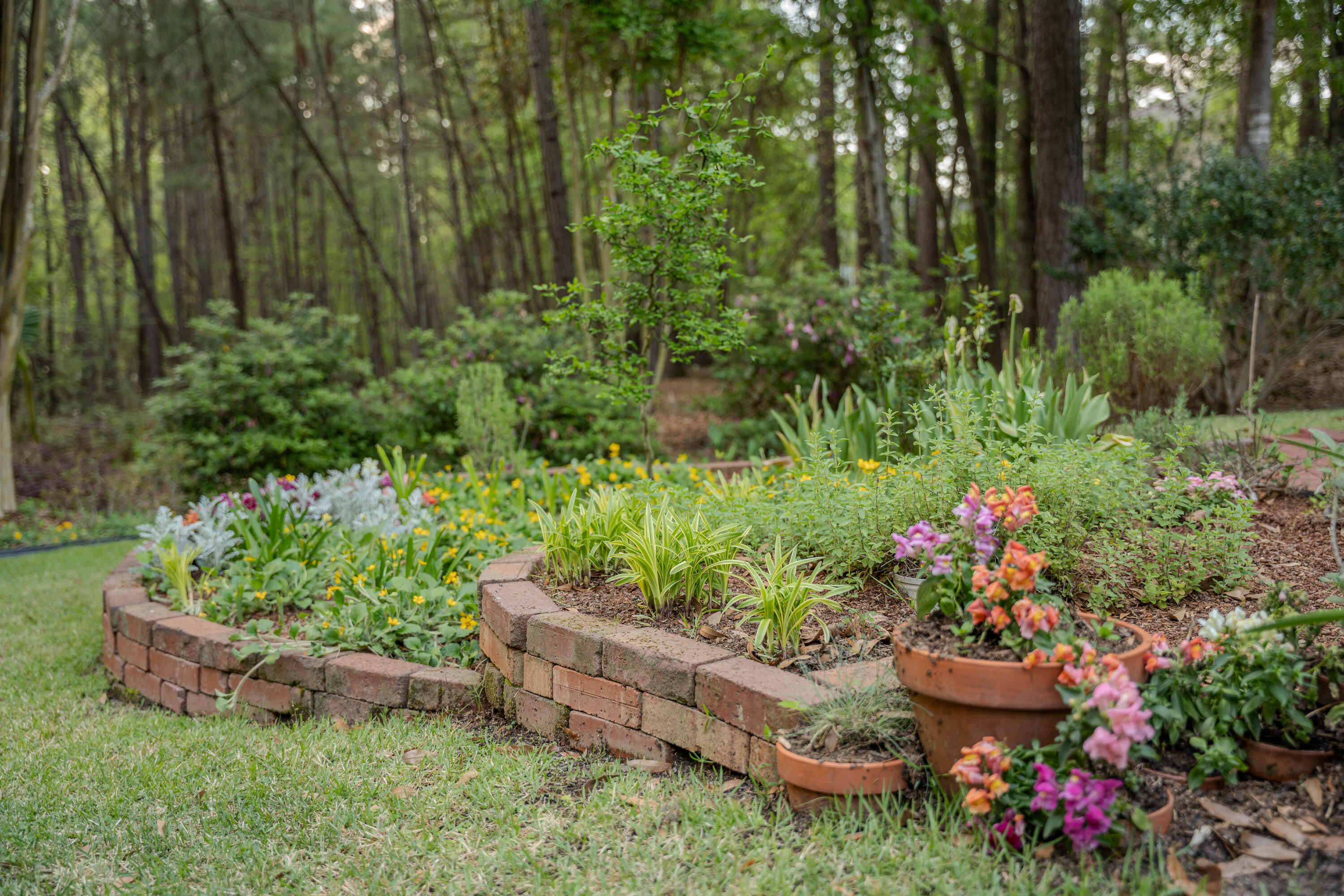 213 Birch Tree Circle