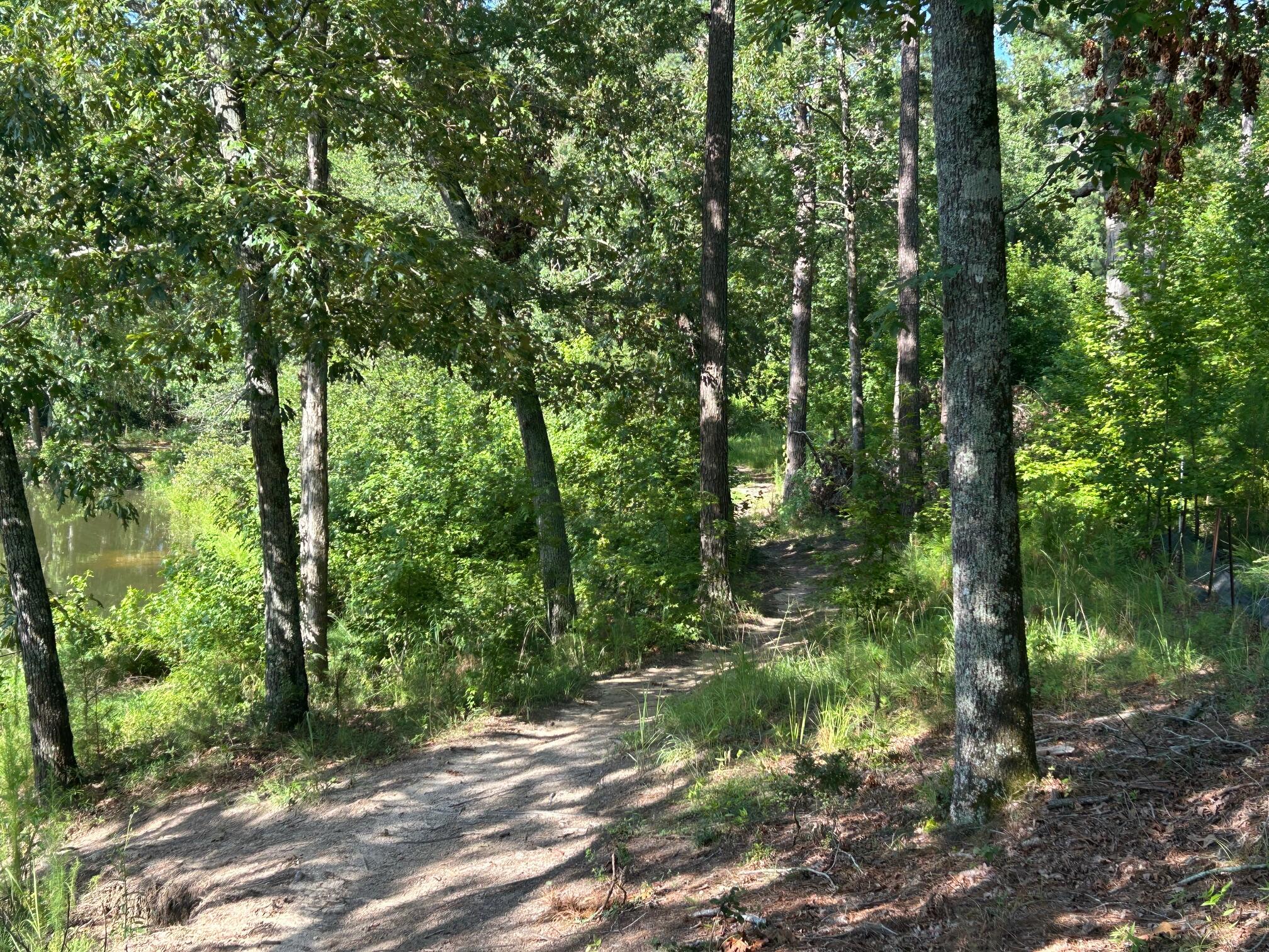 255 Hodges Bay Drive
