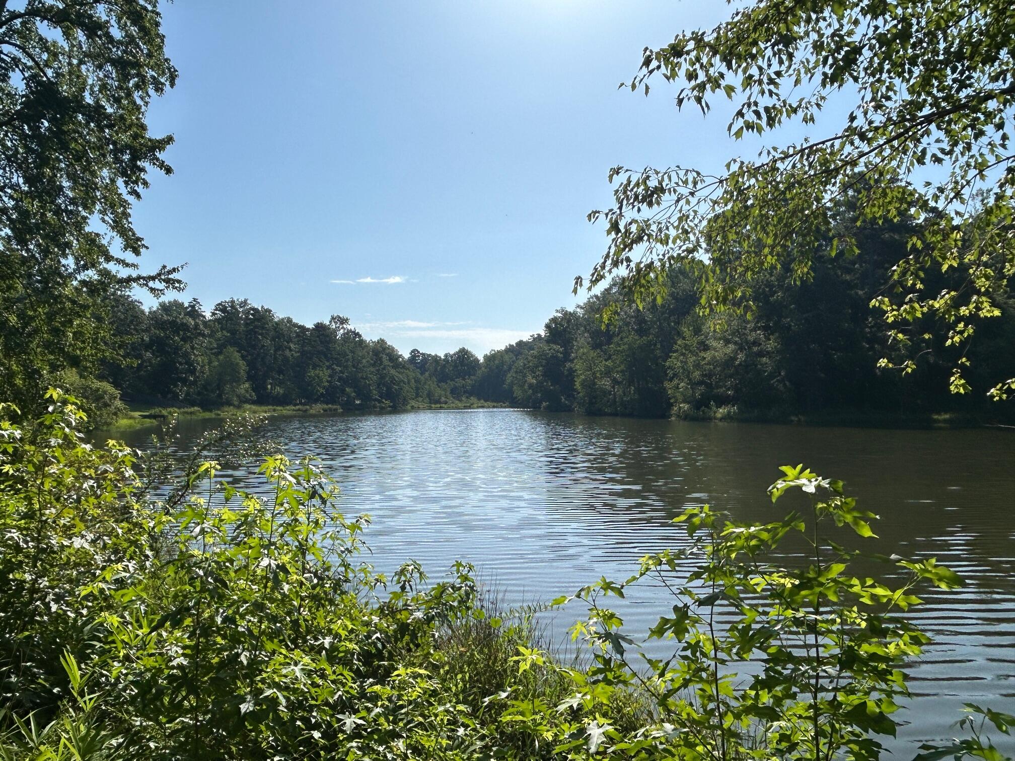 255 Hodges Bay Drive