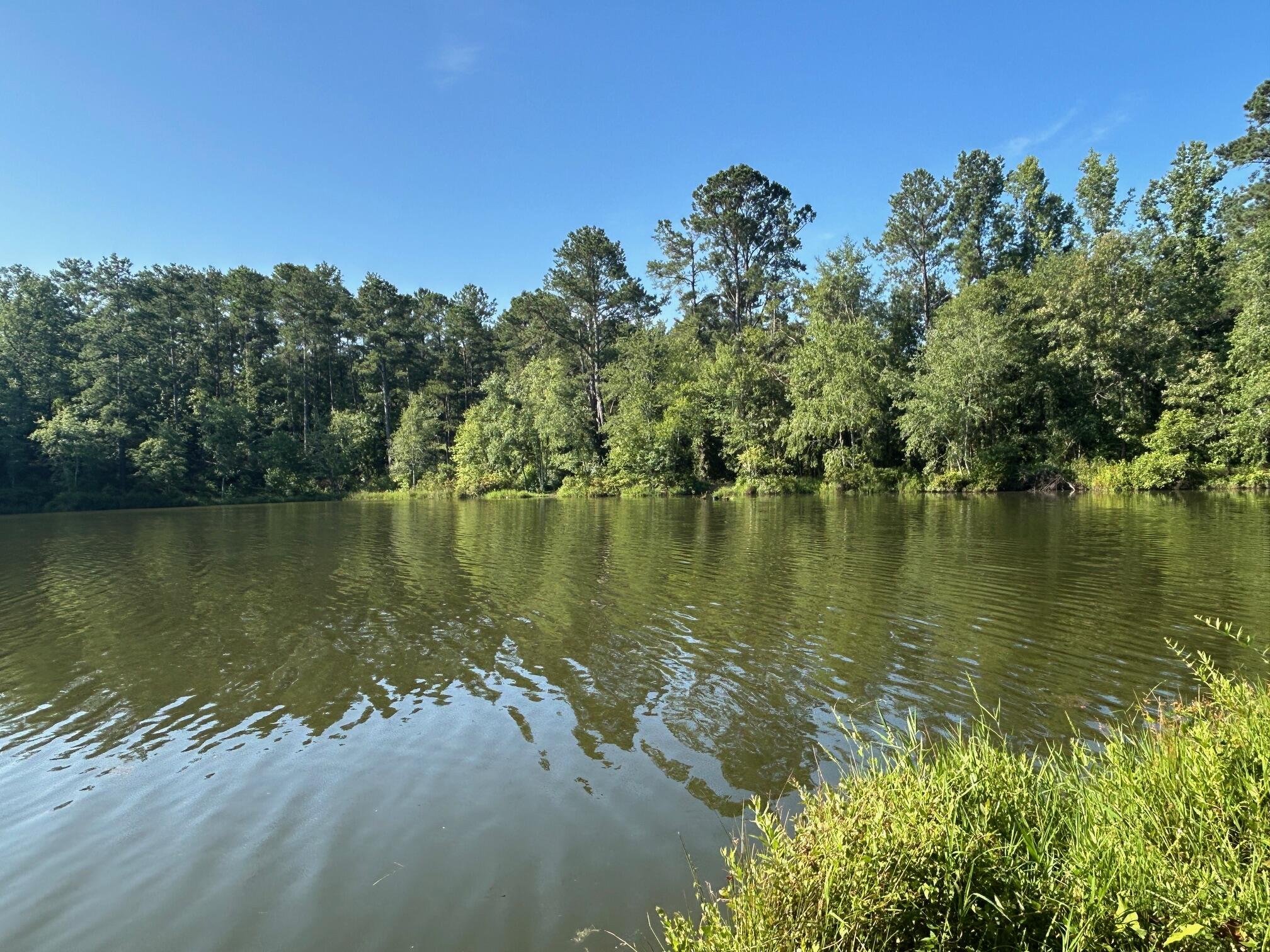 255 Hodges Bay Drive