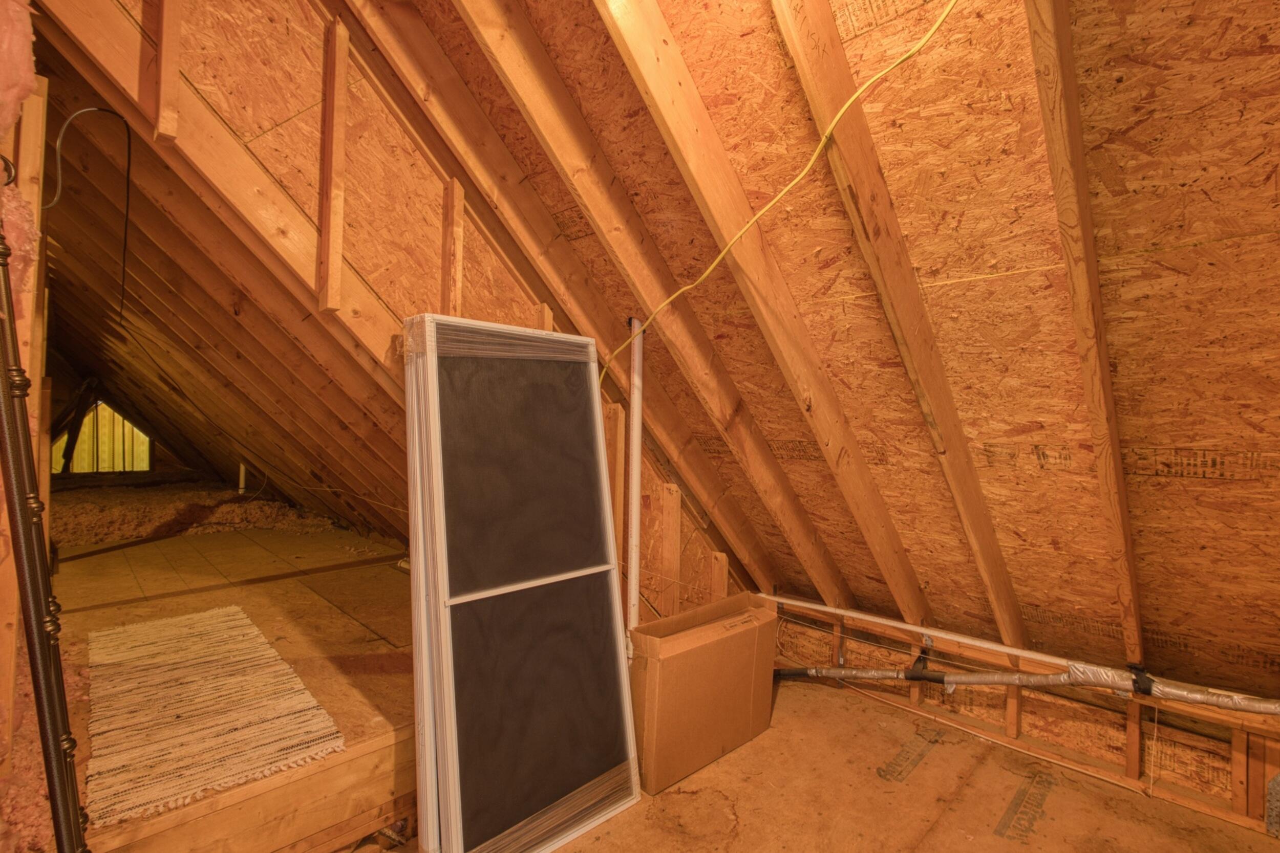 213 Birch Tree Circle