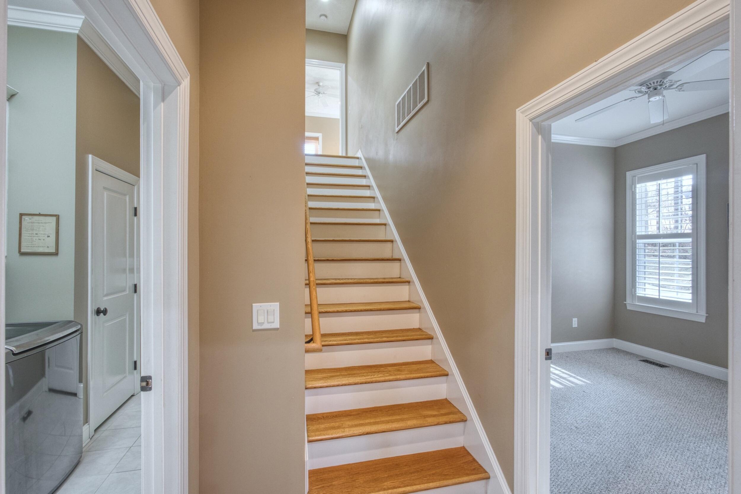 213 Birch Tree Circle