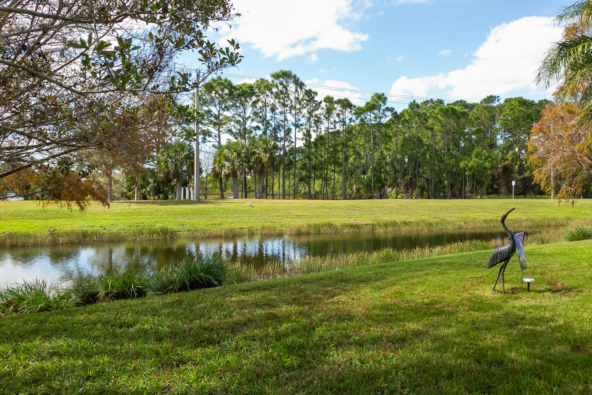 306 SW Tomoka Springs Drive