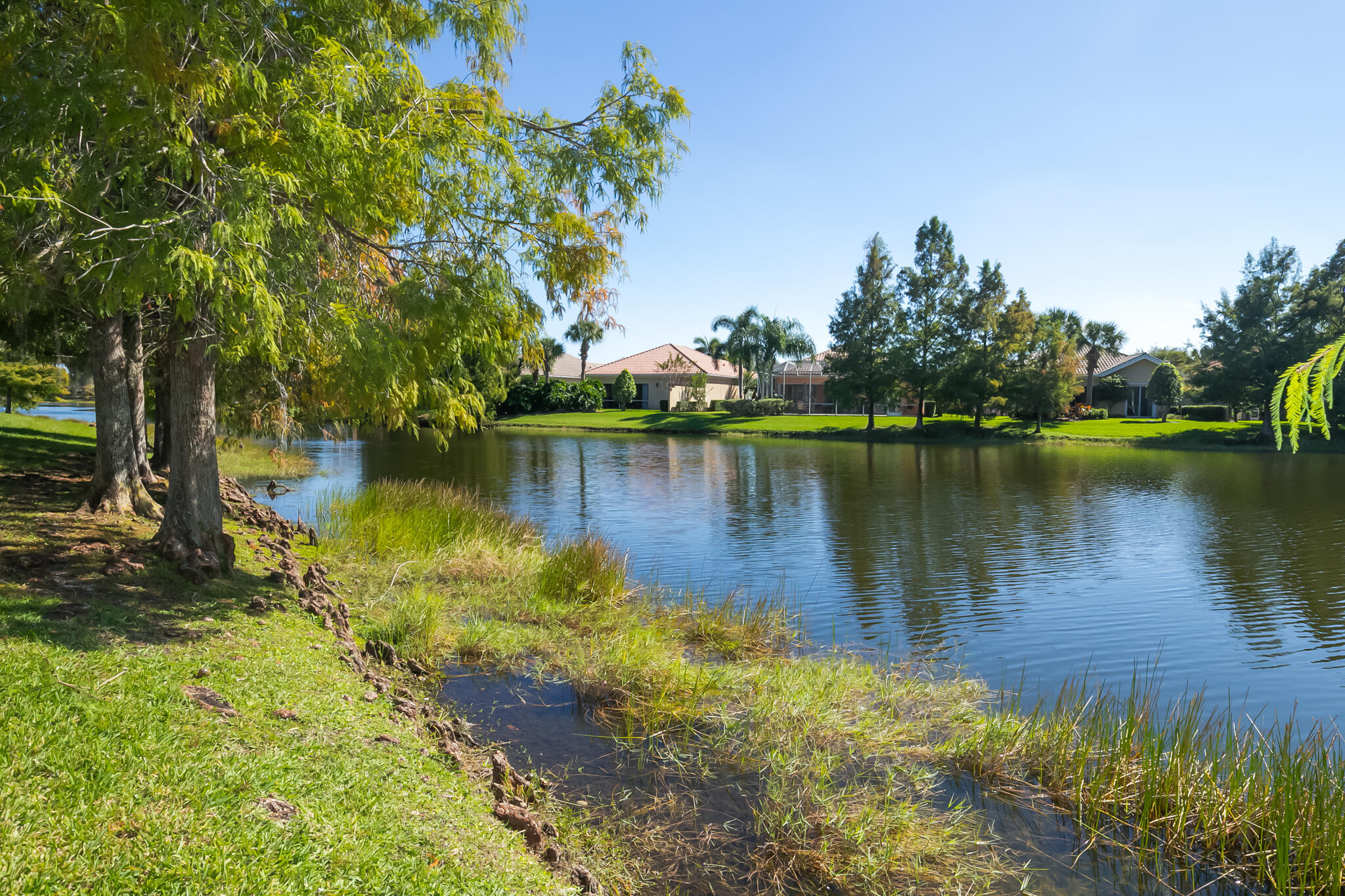 11447 SW Olmstead Drive