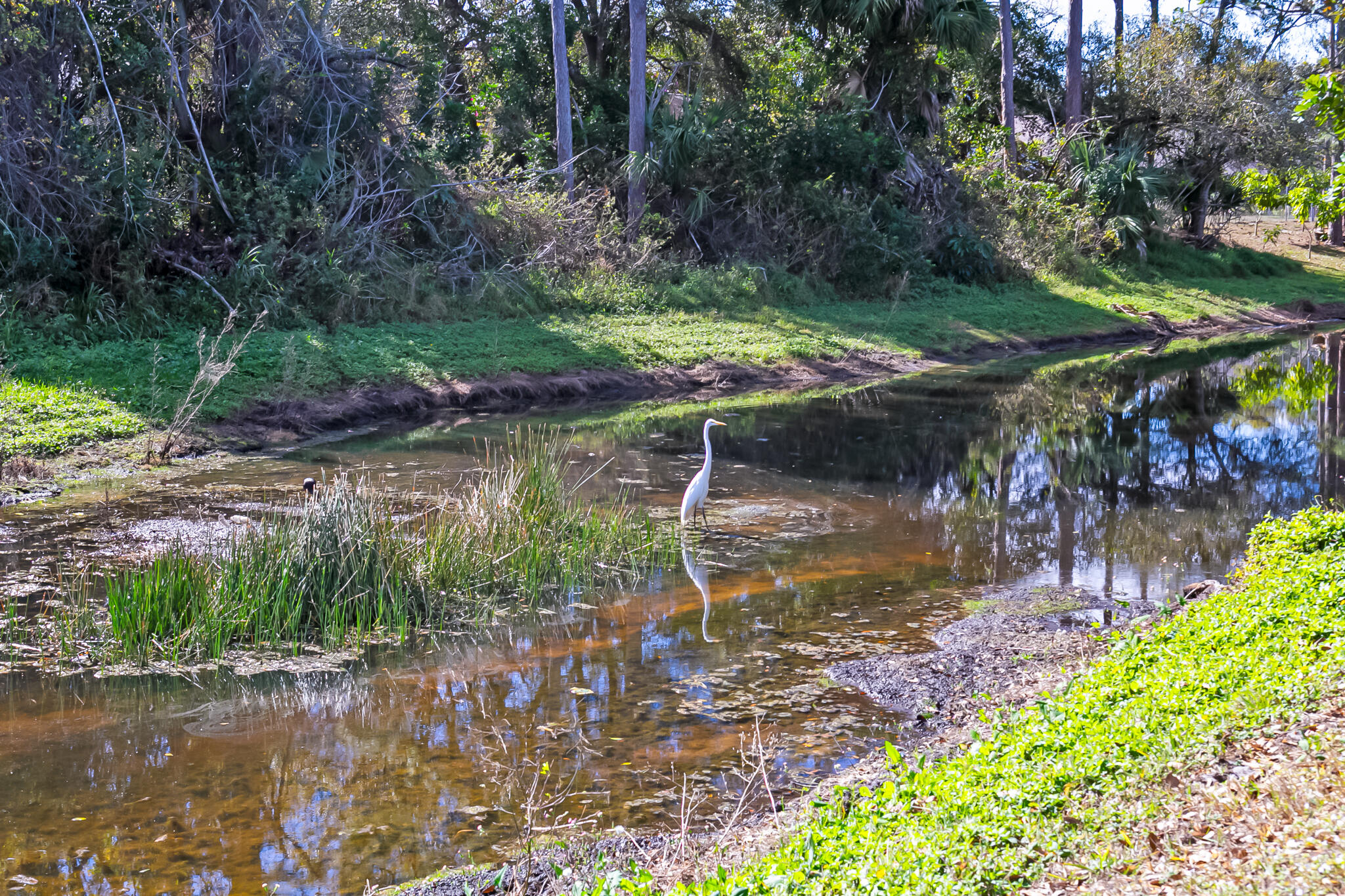 1292 SW Bellevue Avenue, Port St. Lucie