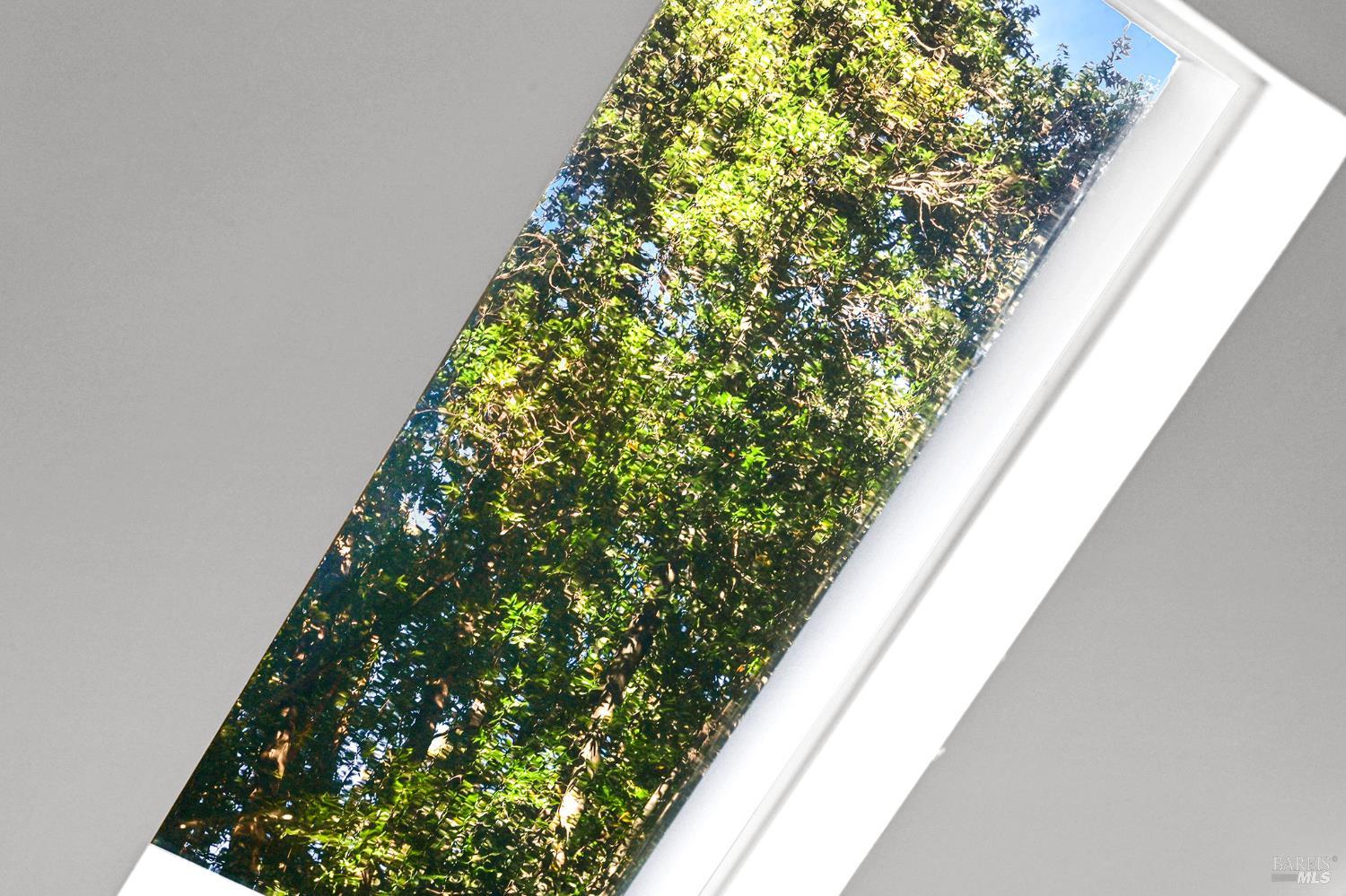 16 Iron Springs Road