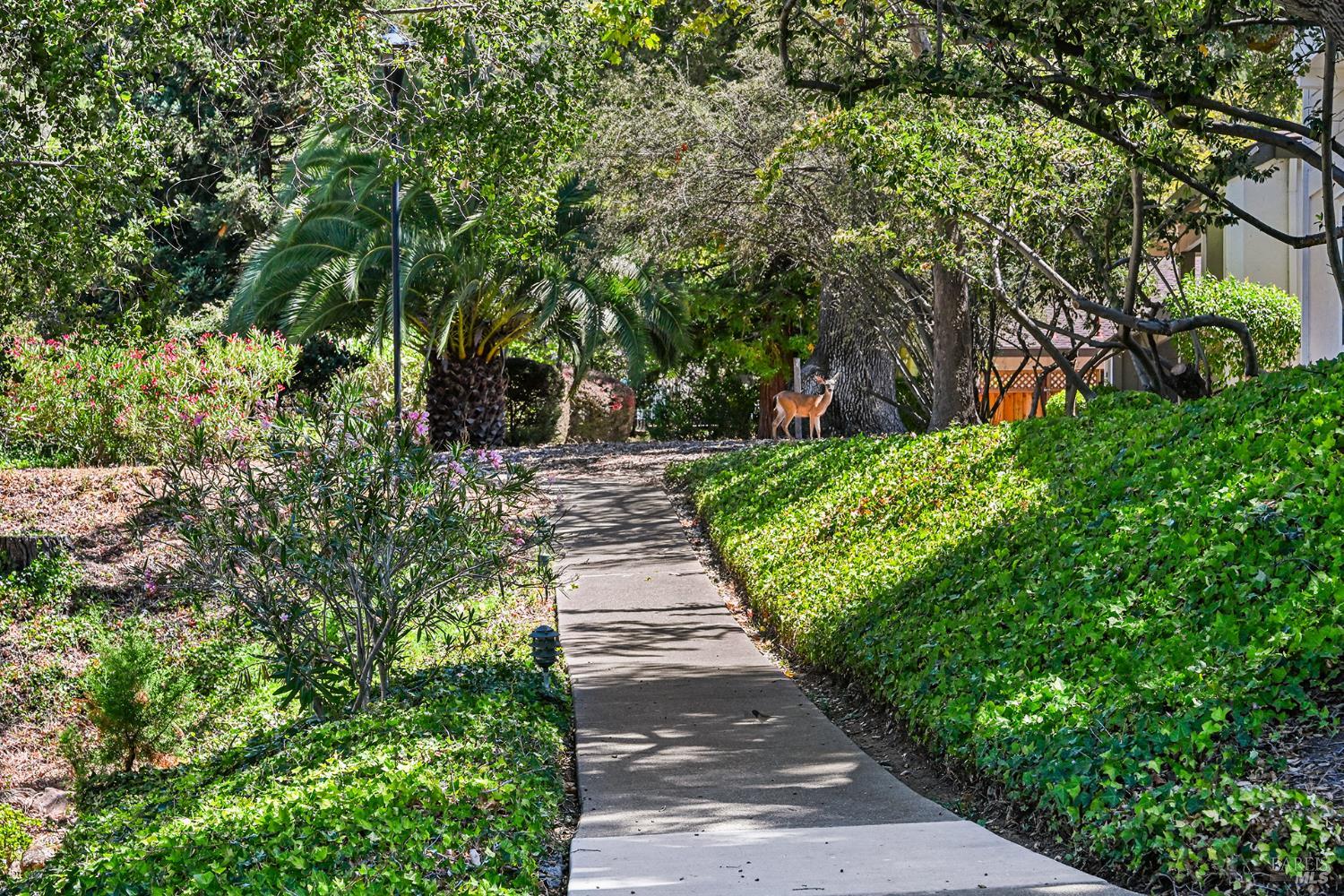 79 Village Circle