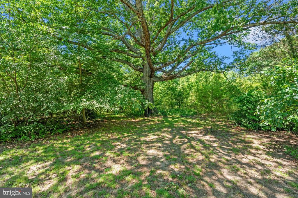 4730 BICKNELL ROAD