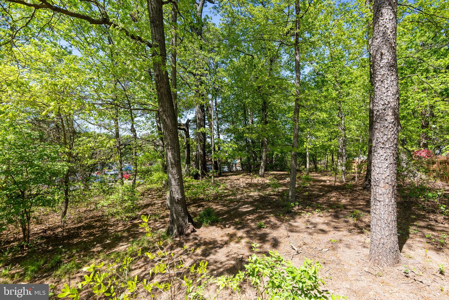 5600 LOCKWOOD ROAD
