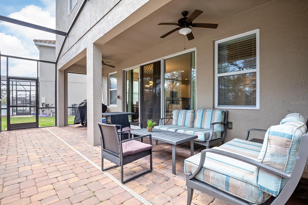 4435 SHIVA LOOP