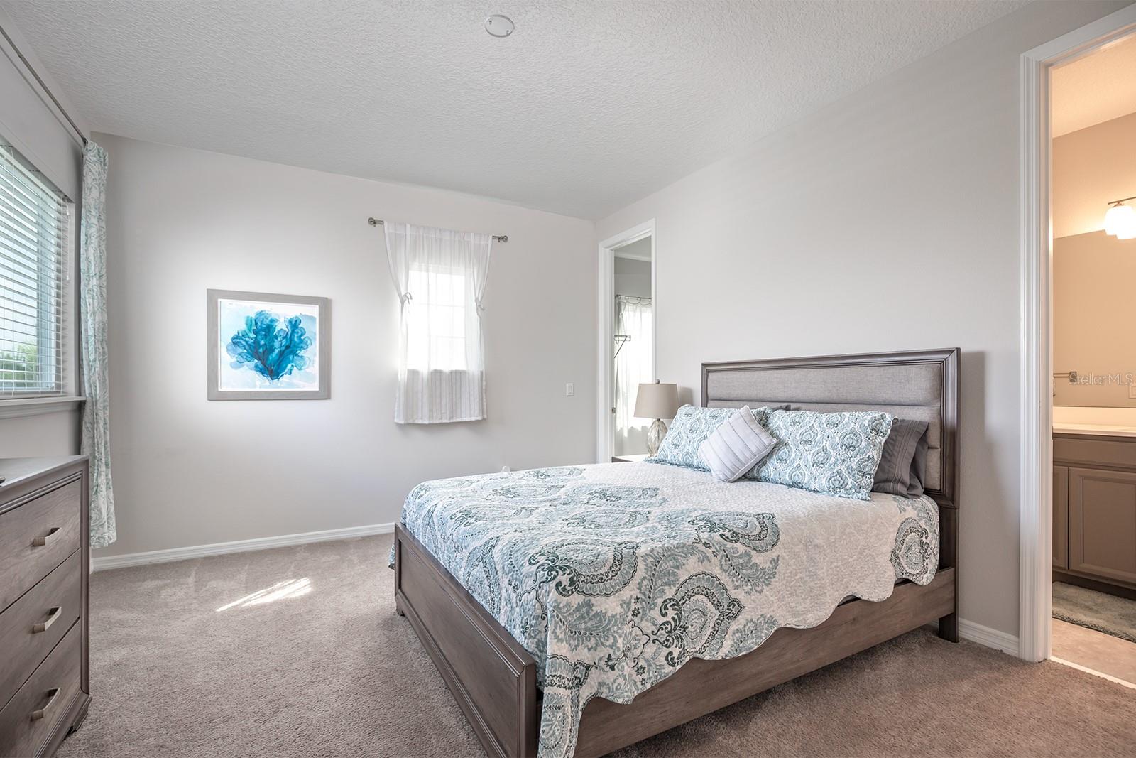 858 ZEEK RIDGE COURT