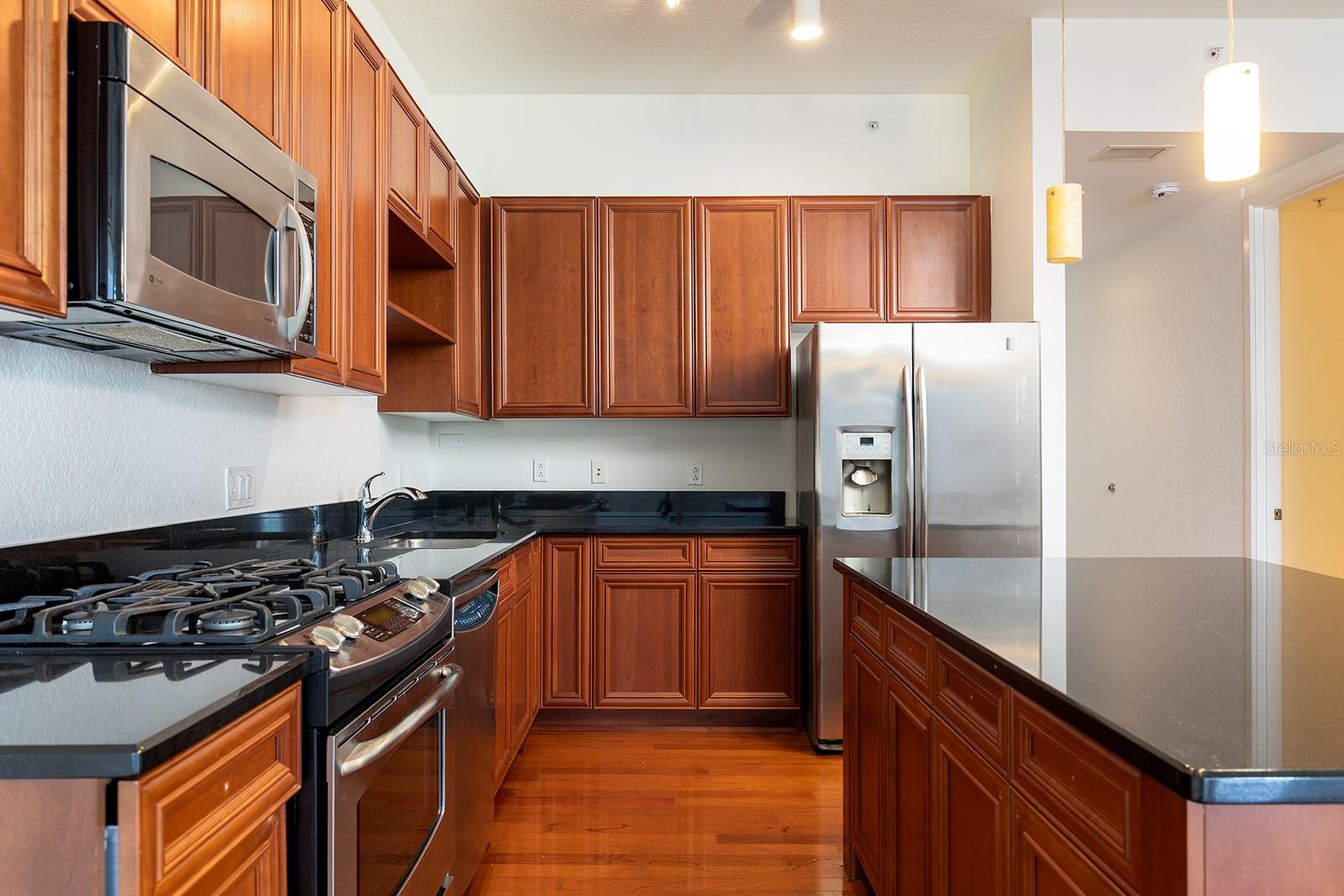 150 E ROBINSON ST #2408