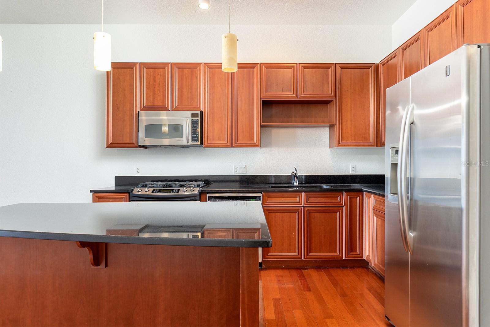 150 E ROBINSON ST #2408