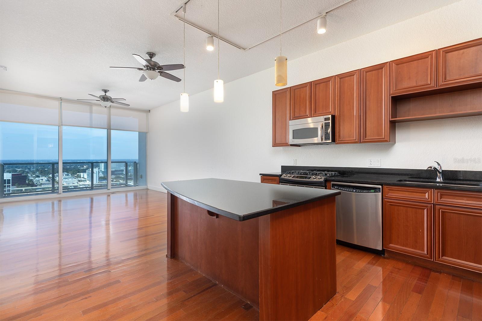 150 E ROBINSON ST #2408