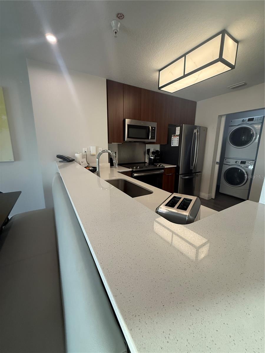 14501 GROVE RESORT AVE #2528