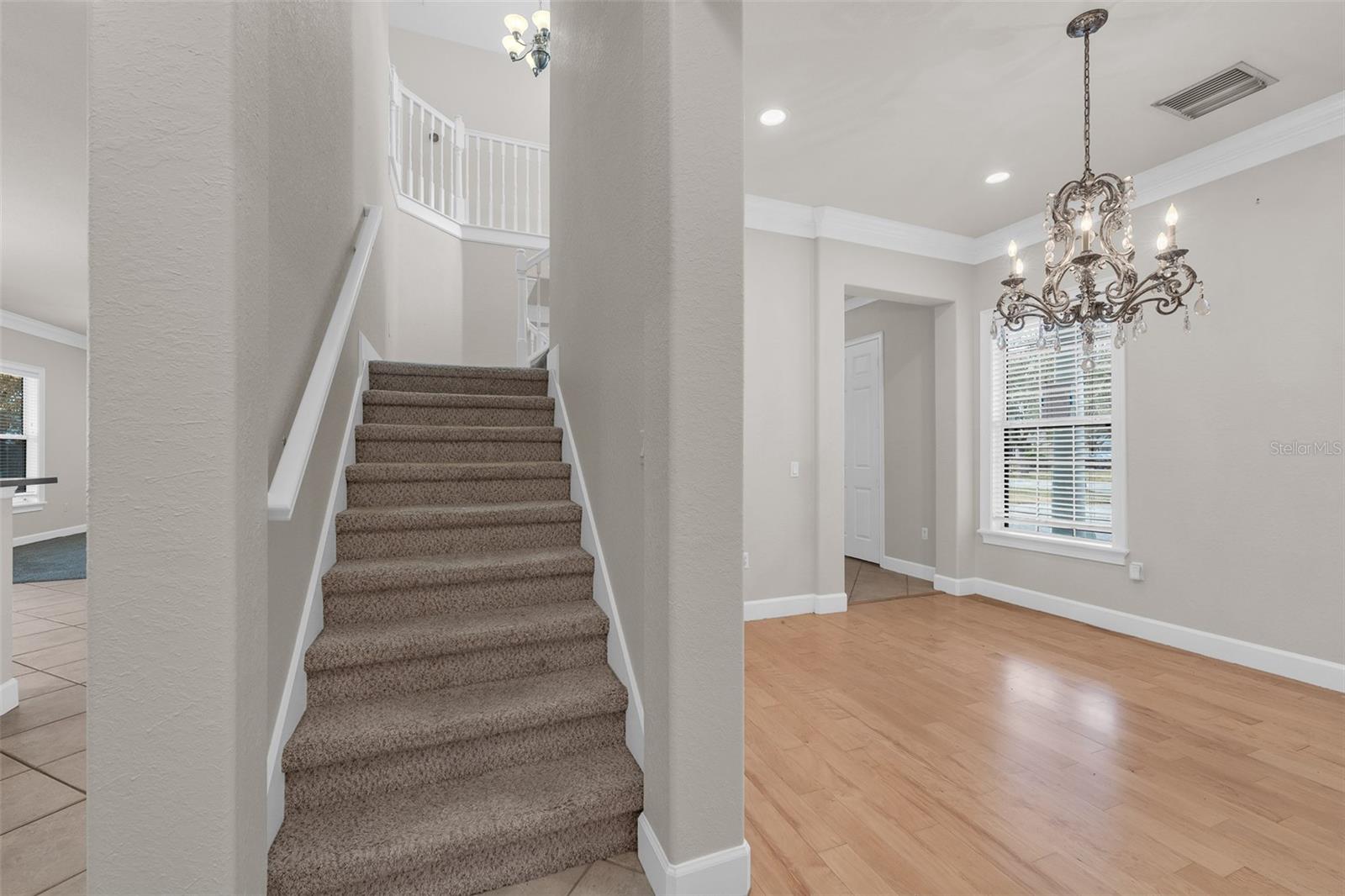 1698 TAYLOR RIDGE LOOP