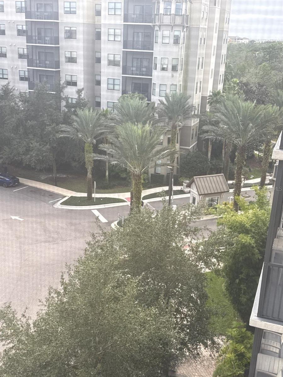 14501 GROVE RESORT AVE #2604