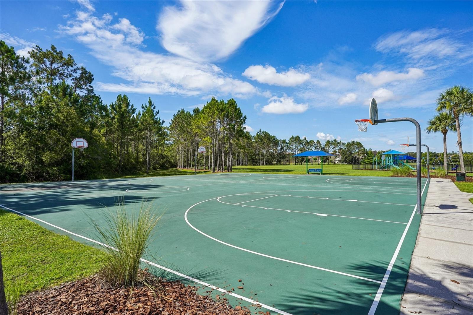 2331 CARNATION HILL CT