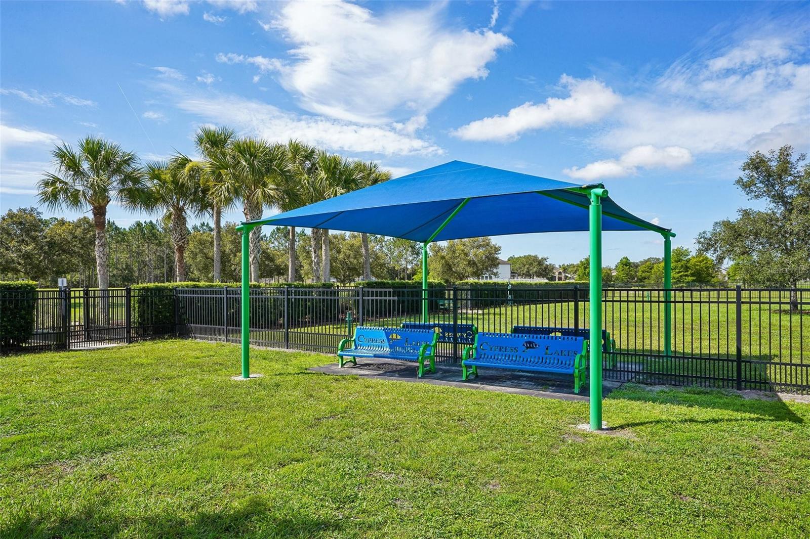 2331 CARNATION HILL CT