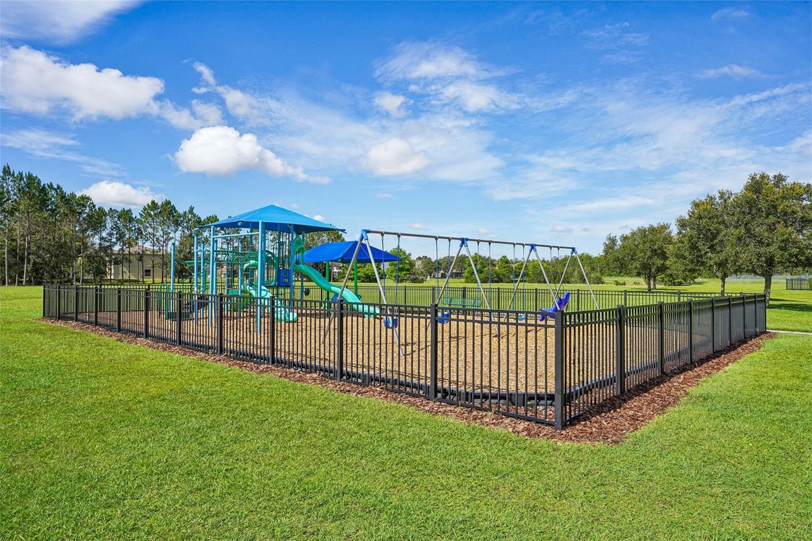 2331 CARNATION HILL CT
