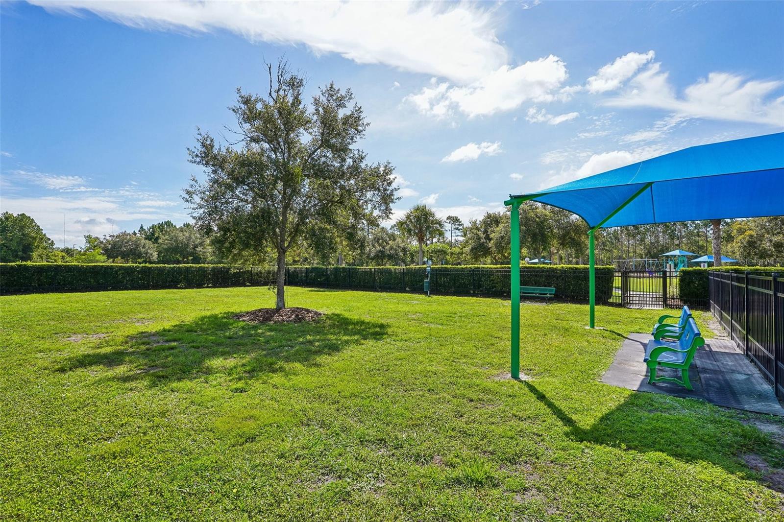 2331 CARNATION HILL CT
