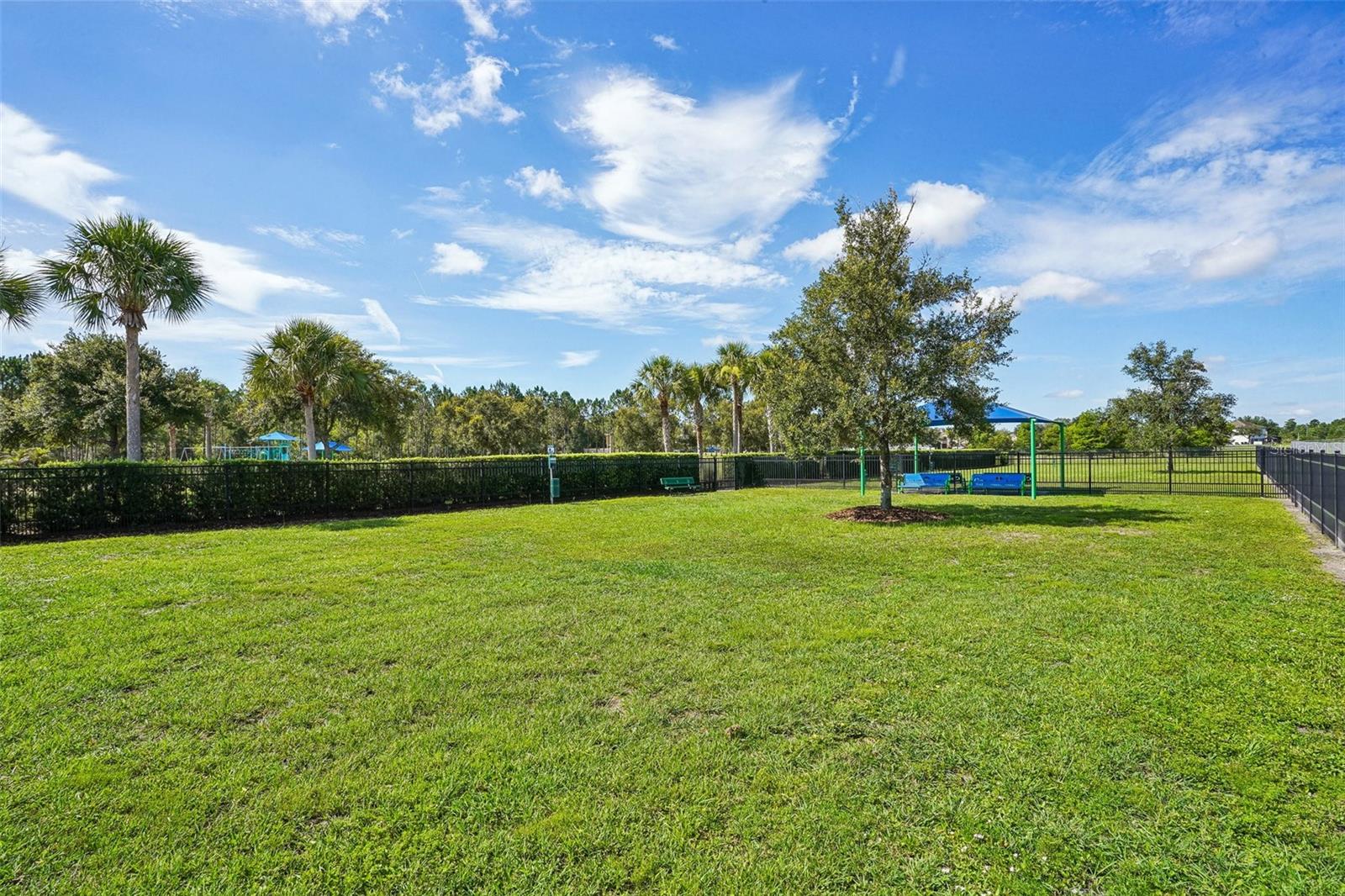 2331 CARNATION HILL CT