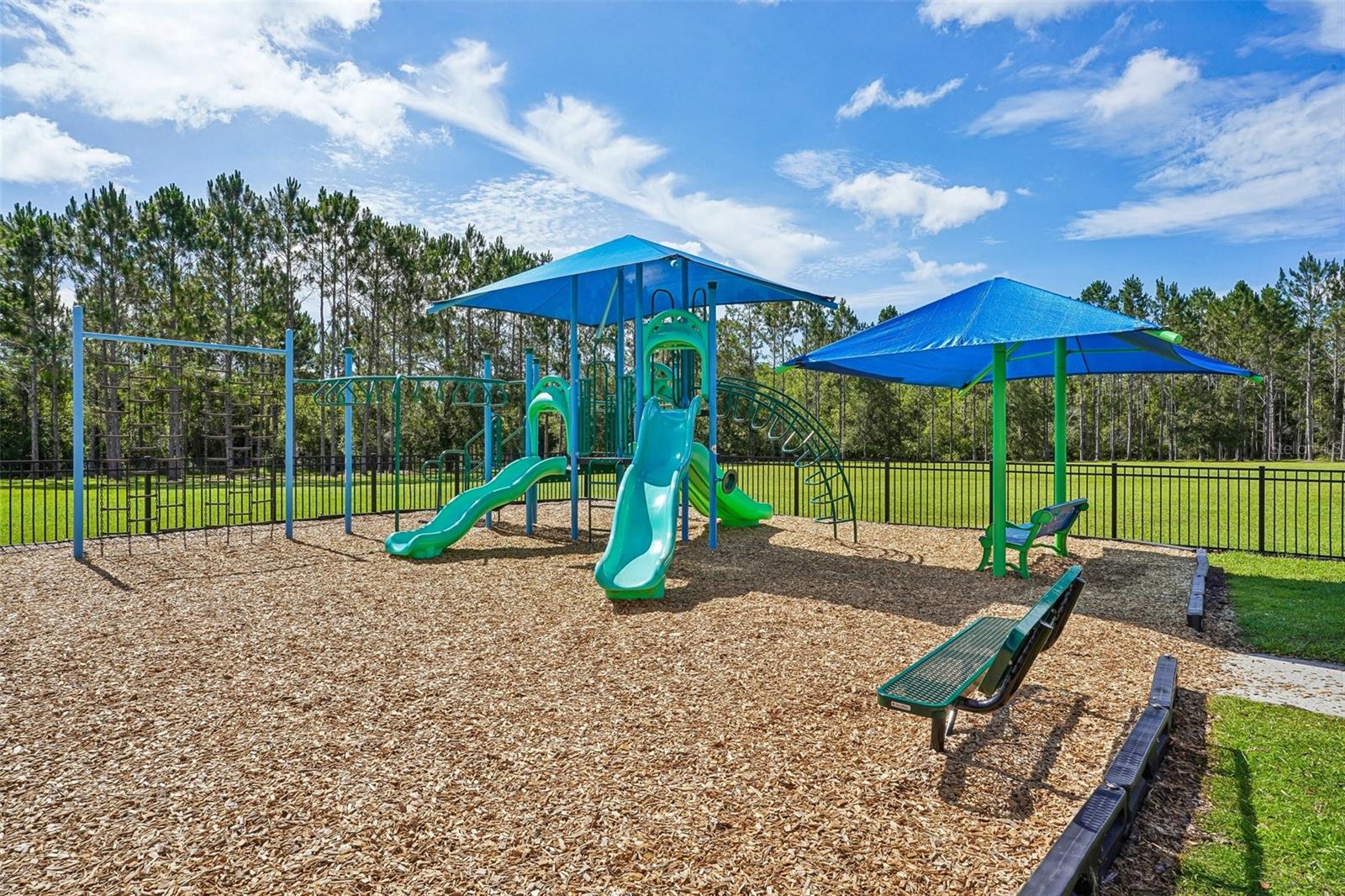 2331 CARNATION HILL CT