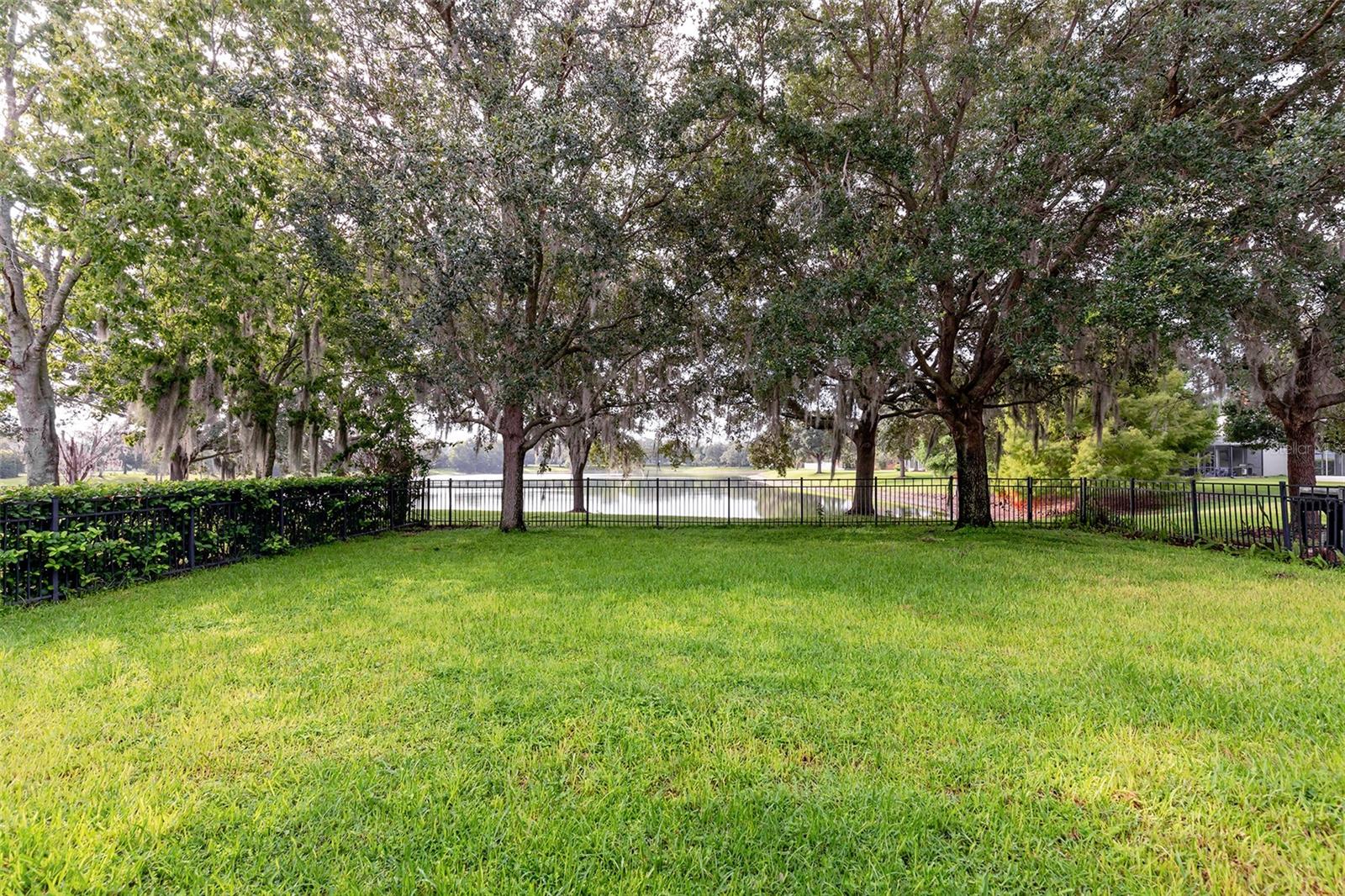 13844 AMELIA POND DR