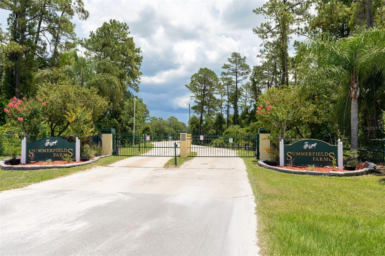 3428 TALLWOOD DR
