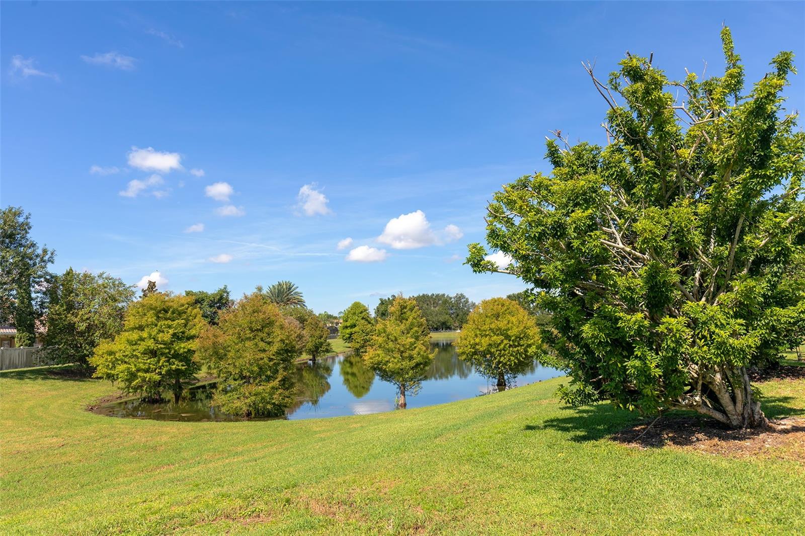 5314 CHISWICK CIR