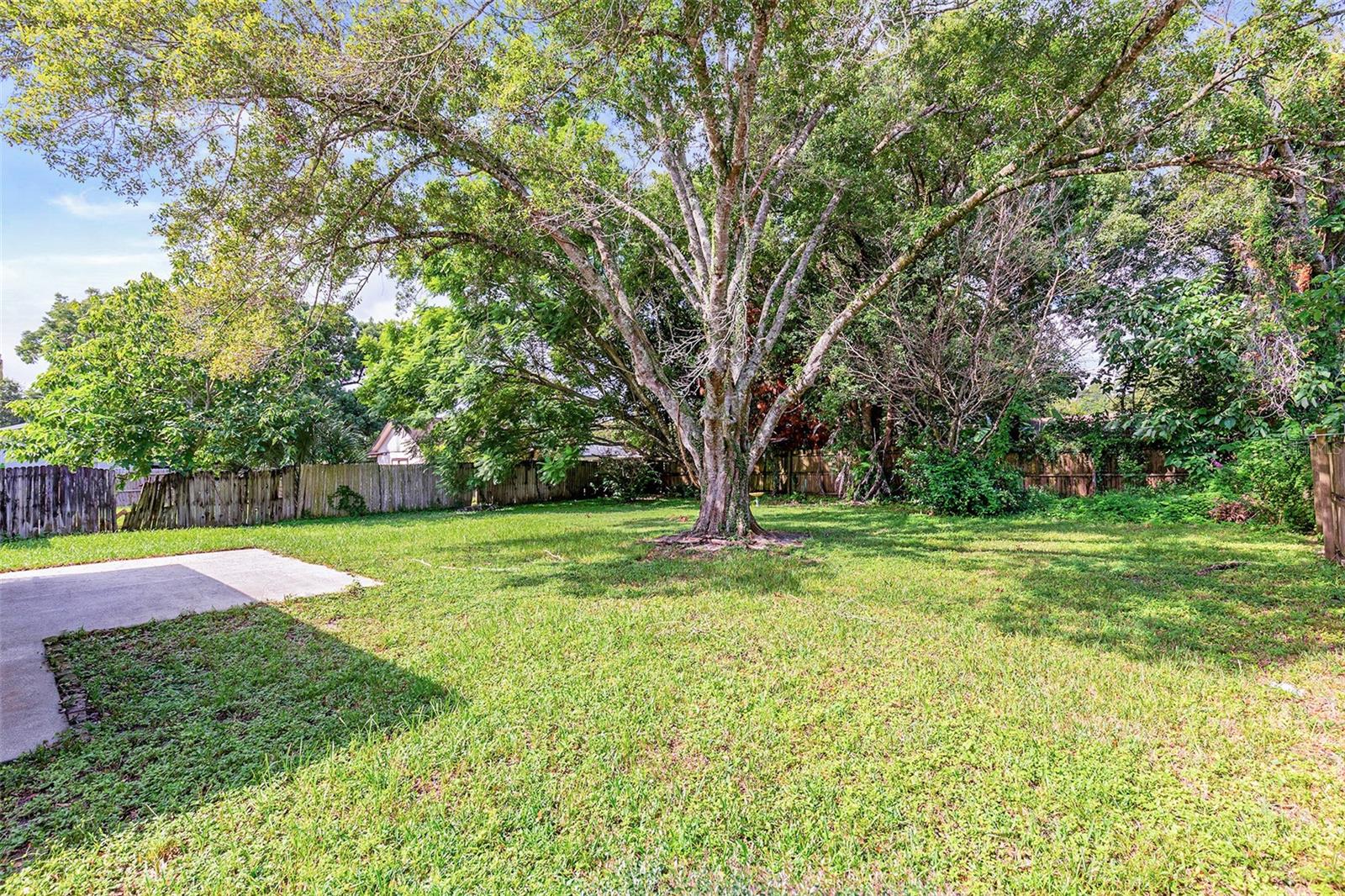 4910 SEMINOLE AVE