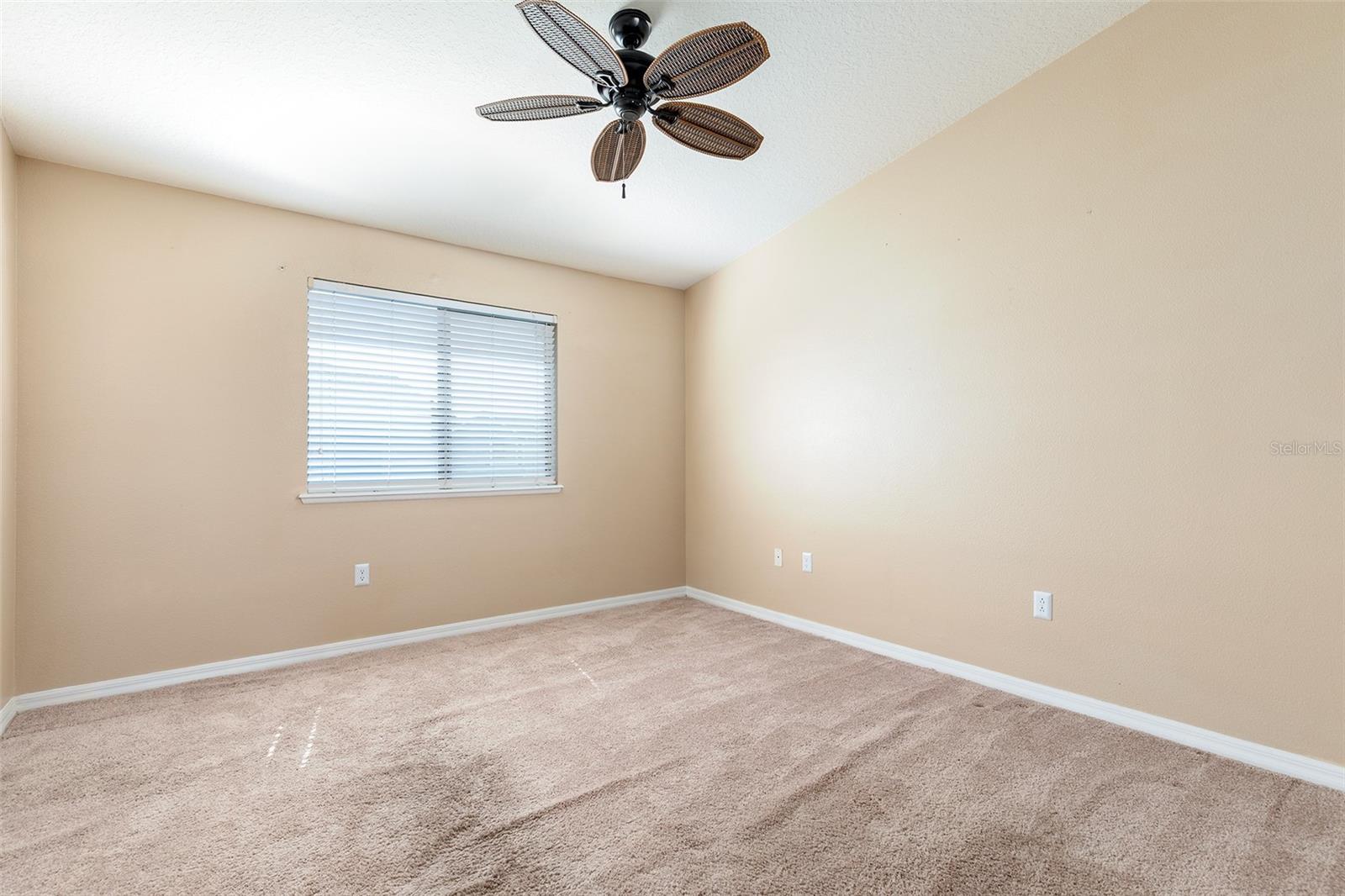 1131 TRILLIUM PARK LN