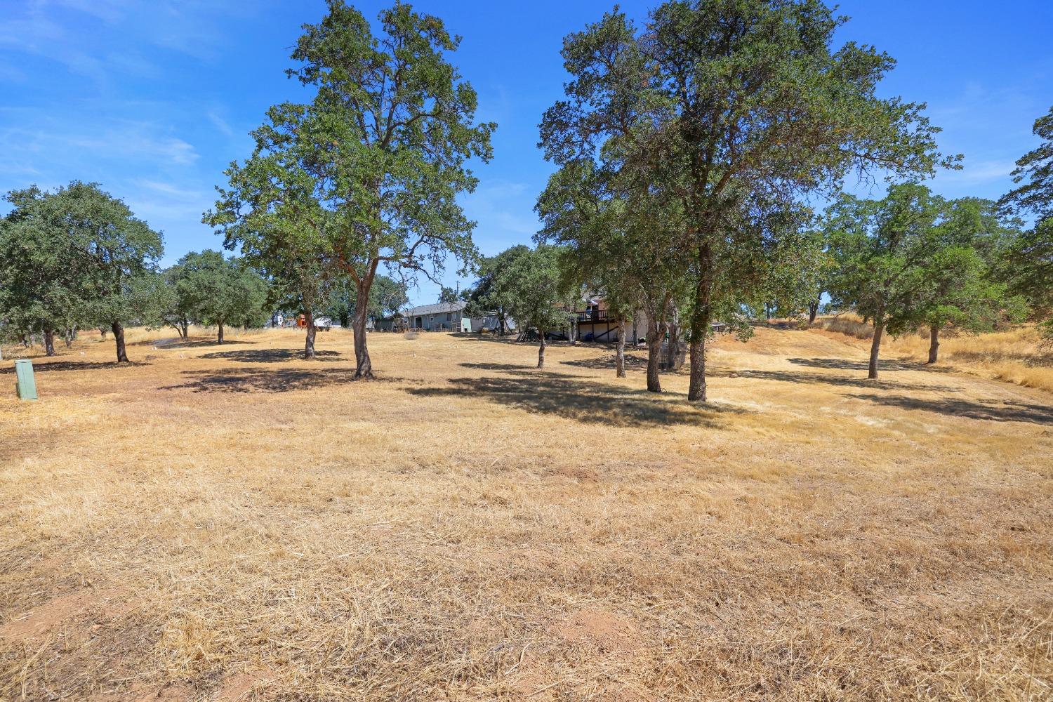 2888 Arrowhead Street