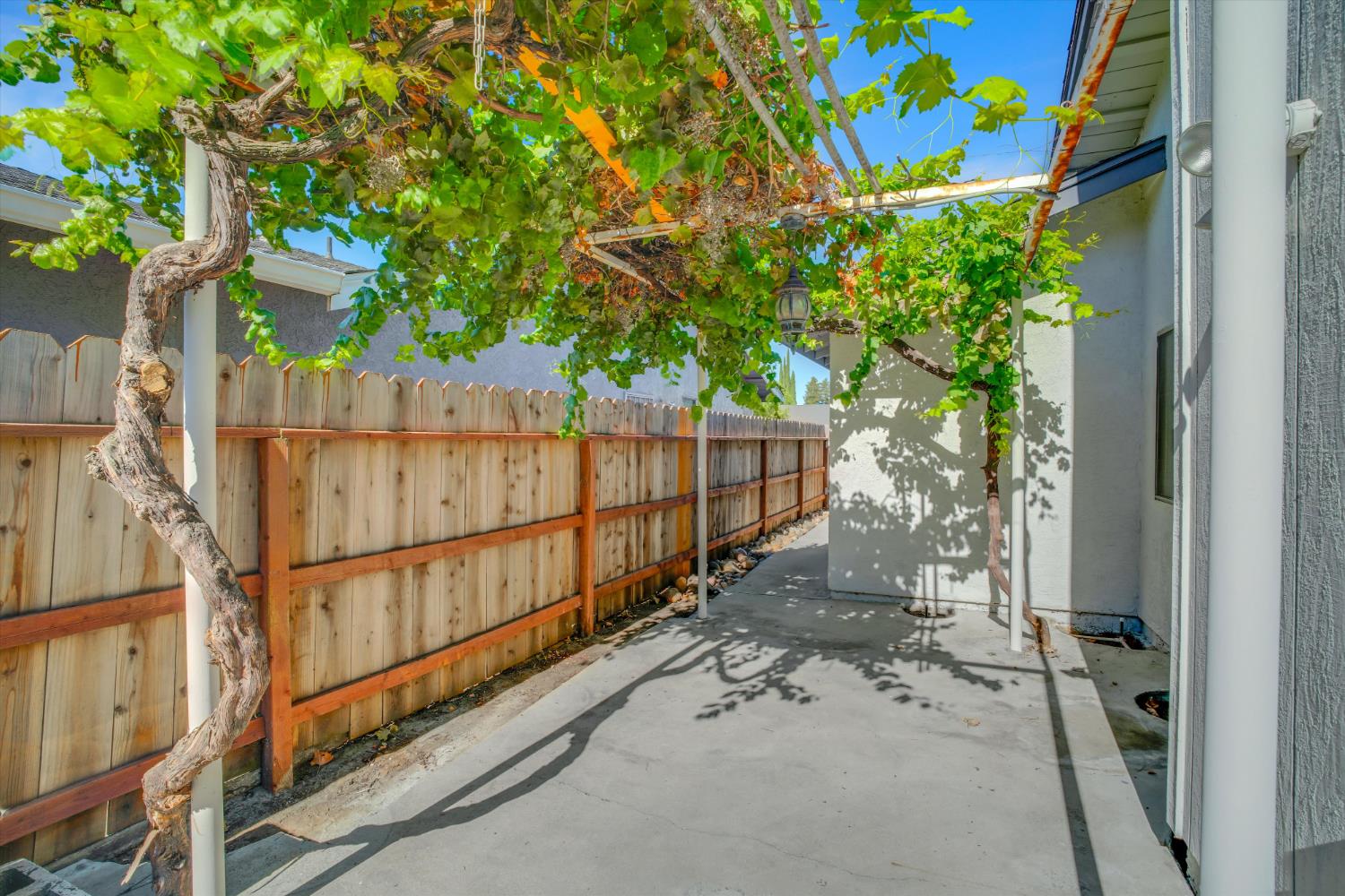 842 Lazarine Court