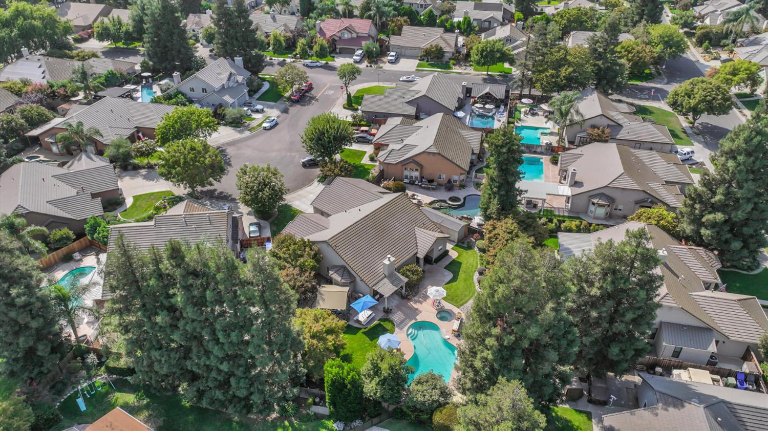 Aerial view of a leafy residential neighborhood with detached homes and swimming pools.