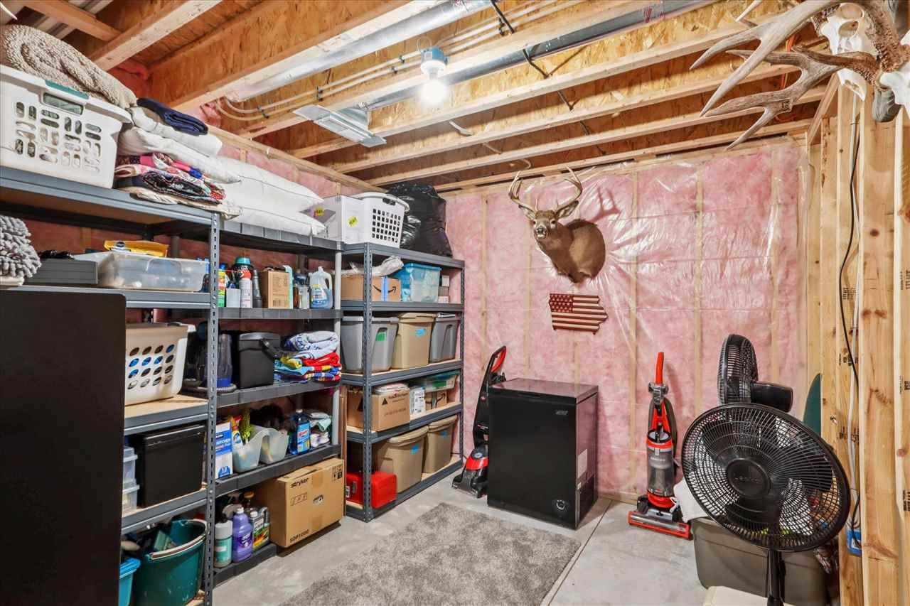 703 American Pharaoh Dr