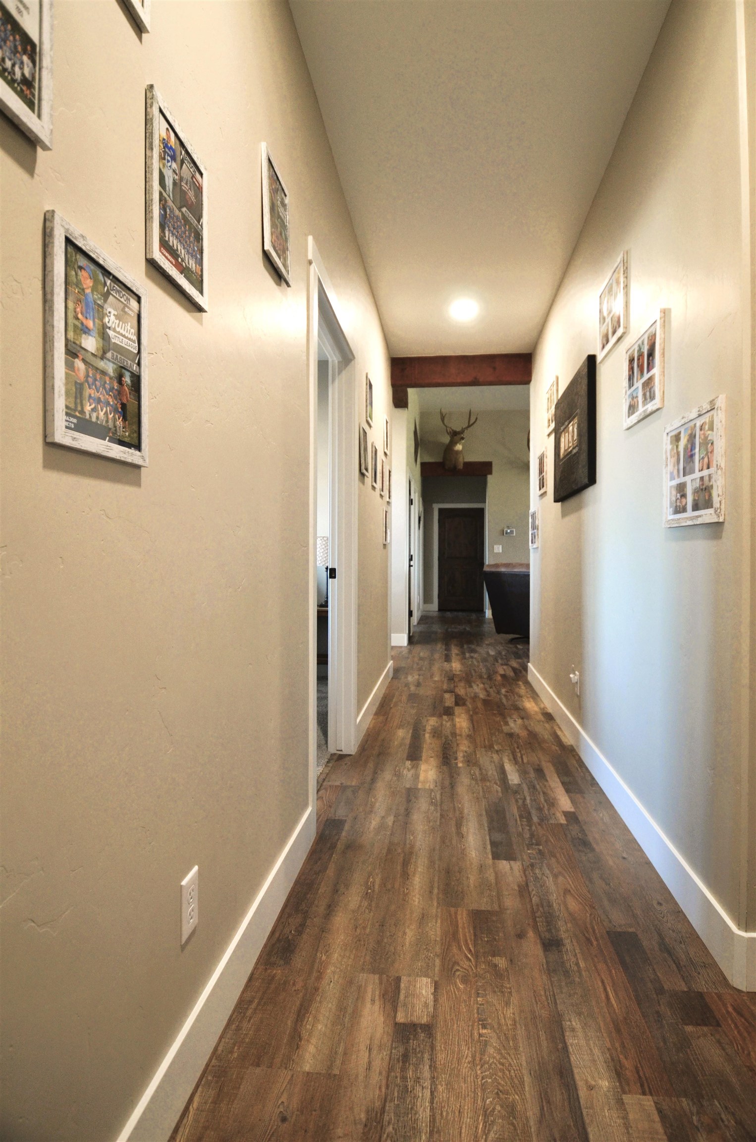1641 Saddle Ring Court