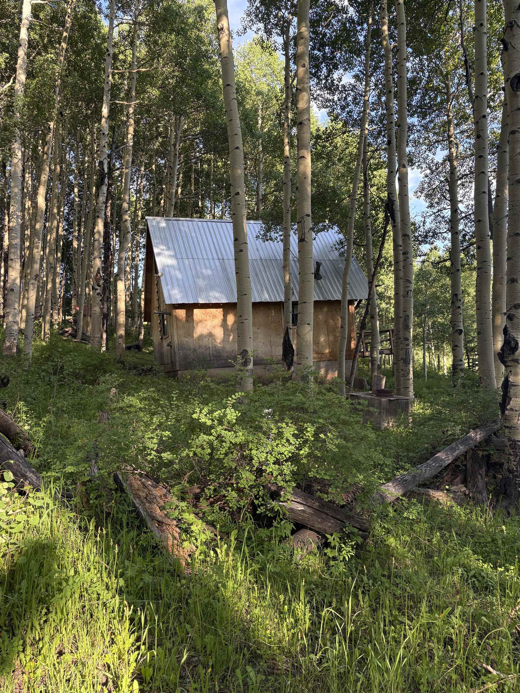 37081 Roatcap Road
