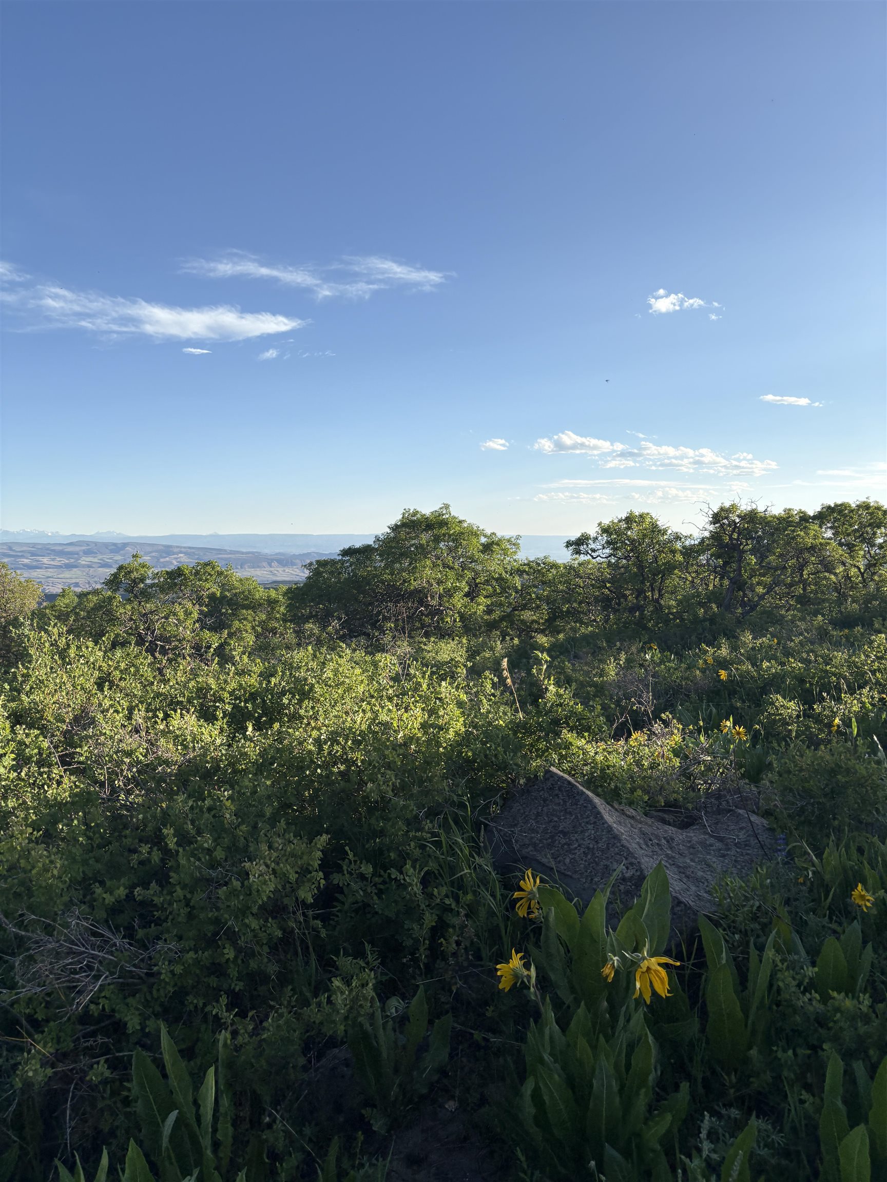37081 Roatcap Road