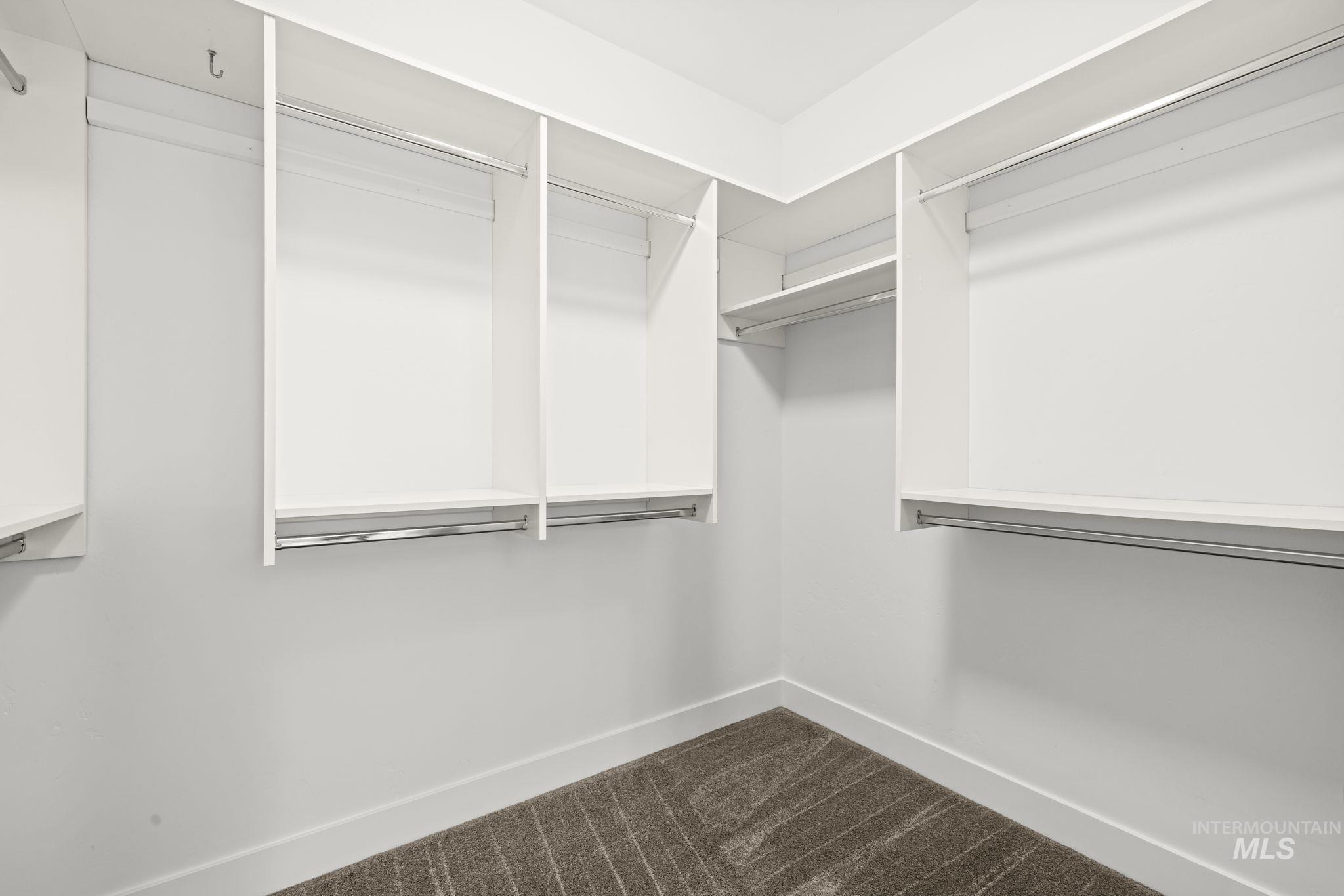 Empty walk-in closet with white built-in shelves, chrome hanging rods, and gray carpet.