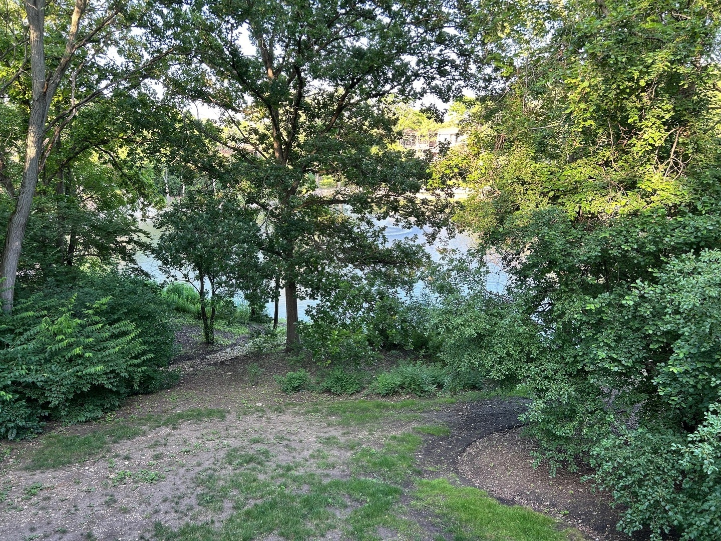 6019 FOREST VIEW Road Unit: 2B