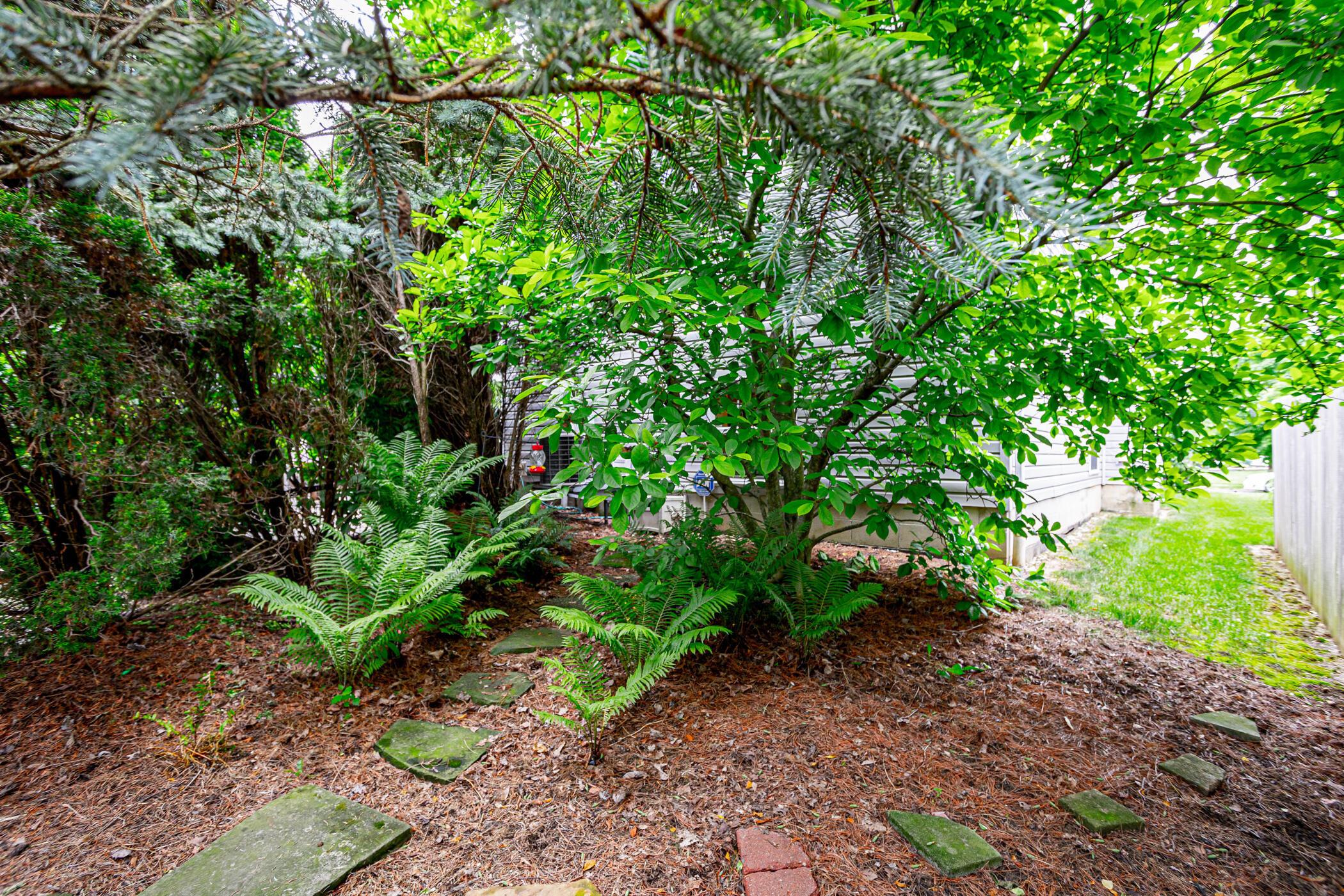 114 Welshmore Drive
