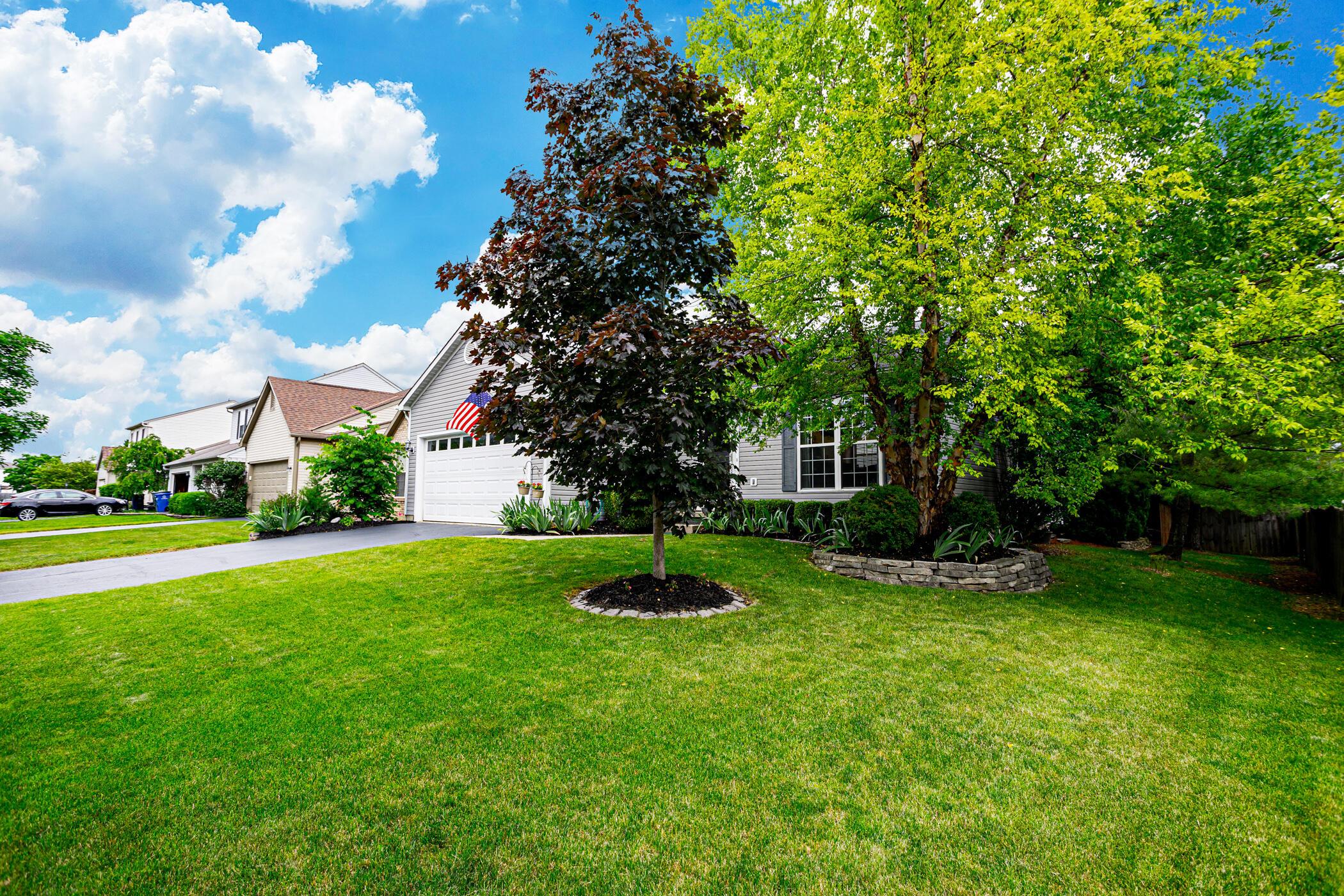 114 Welshmore Drive
